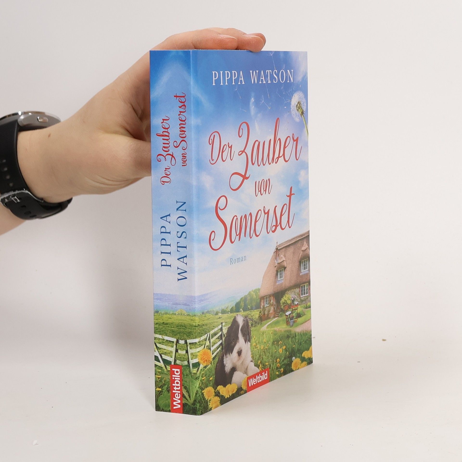 Pippa Watson Der Zauber von Somerset