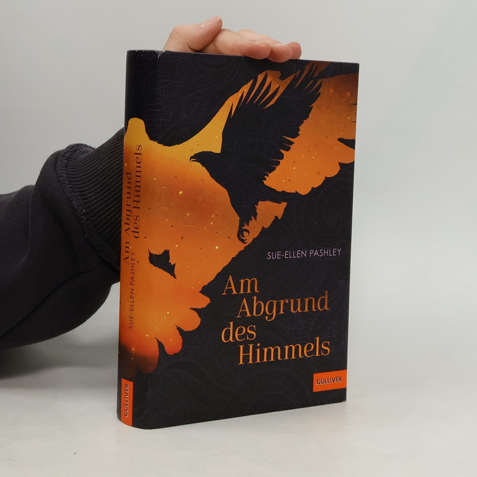 Am Abgrund des Himmels