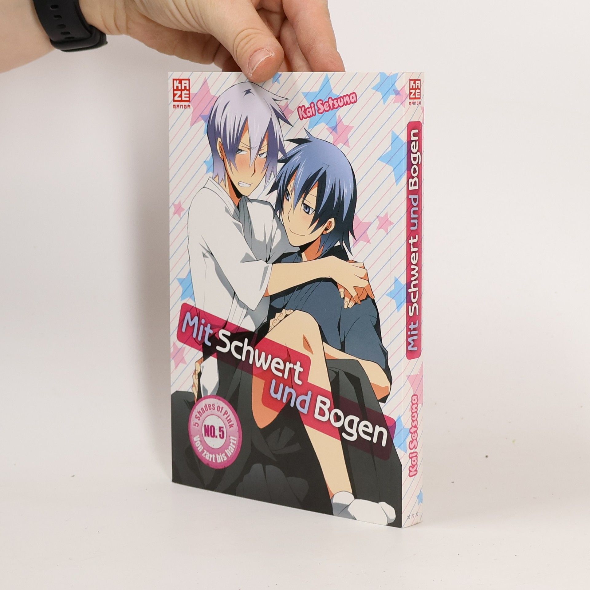 Kai Setsuna Mit Schwert und Bogen