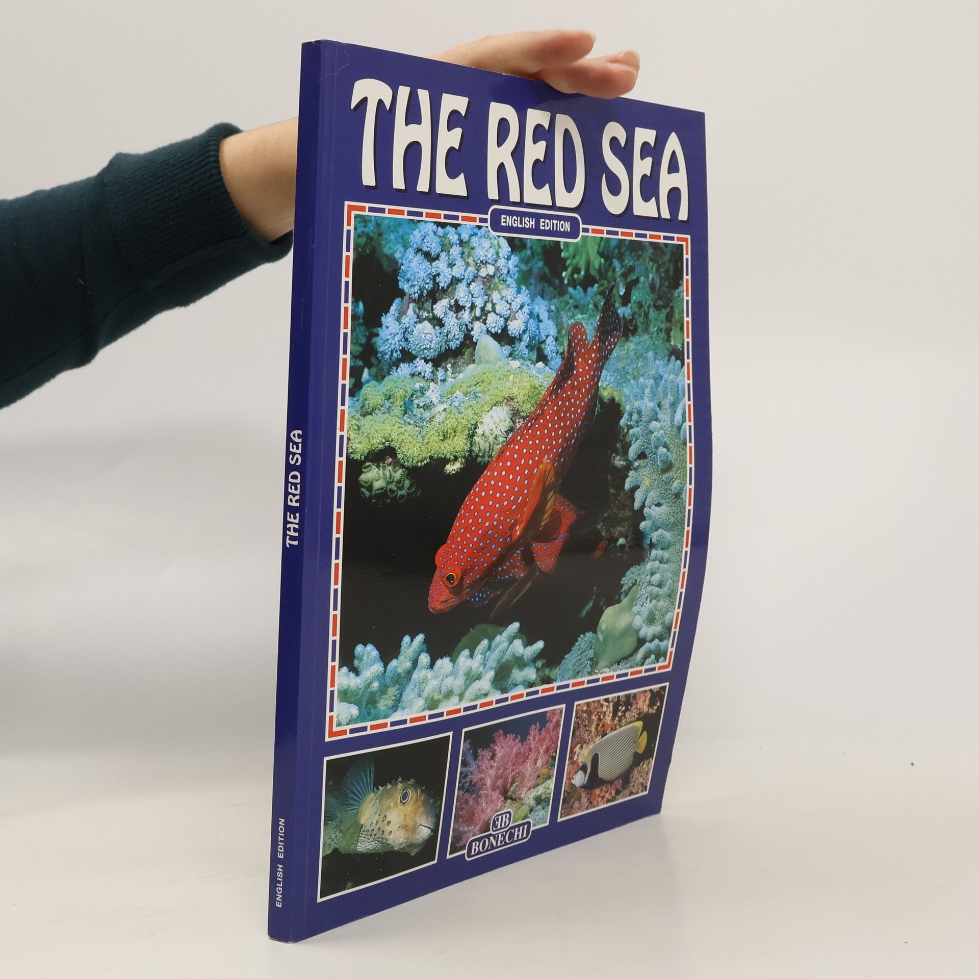 Andrea Ghisotti The Red Sea