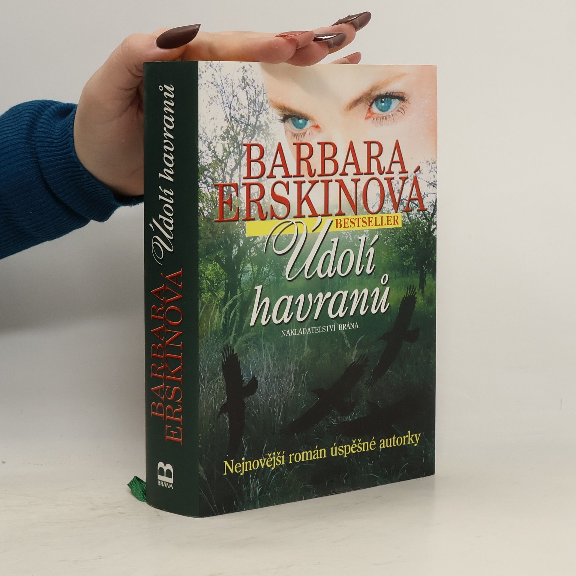 Barbara Erskinová Údolí havranů