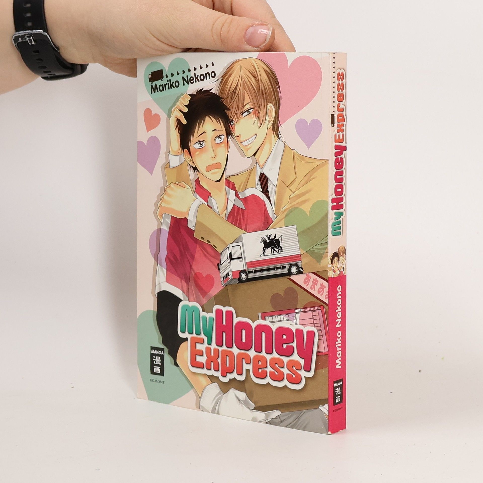 Mariko Nekono My honey express