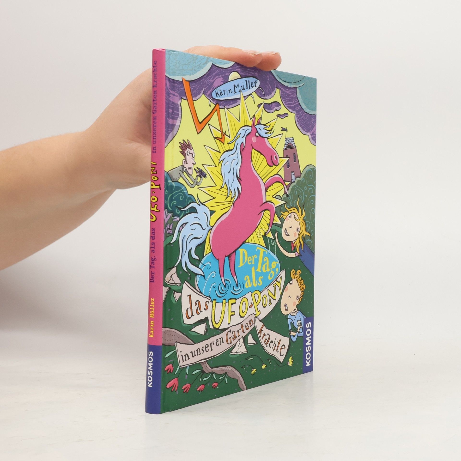 Karin Müller Der Tag, als das Ufo-Pony in unseren Garten krachte