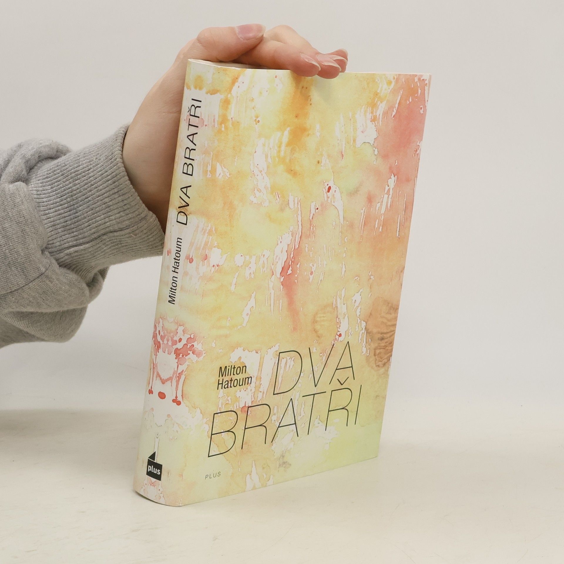 Milton Hatoum Dva bratři