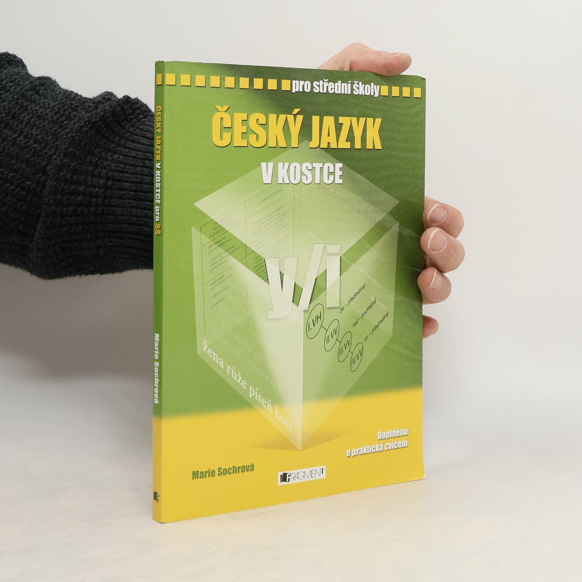 Marie Sochrová Český jazyk v kostce : pro střední školy