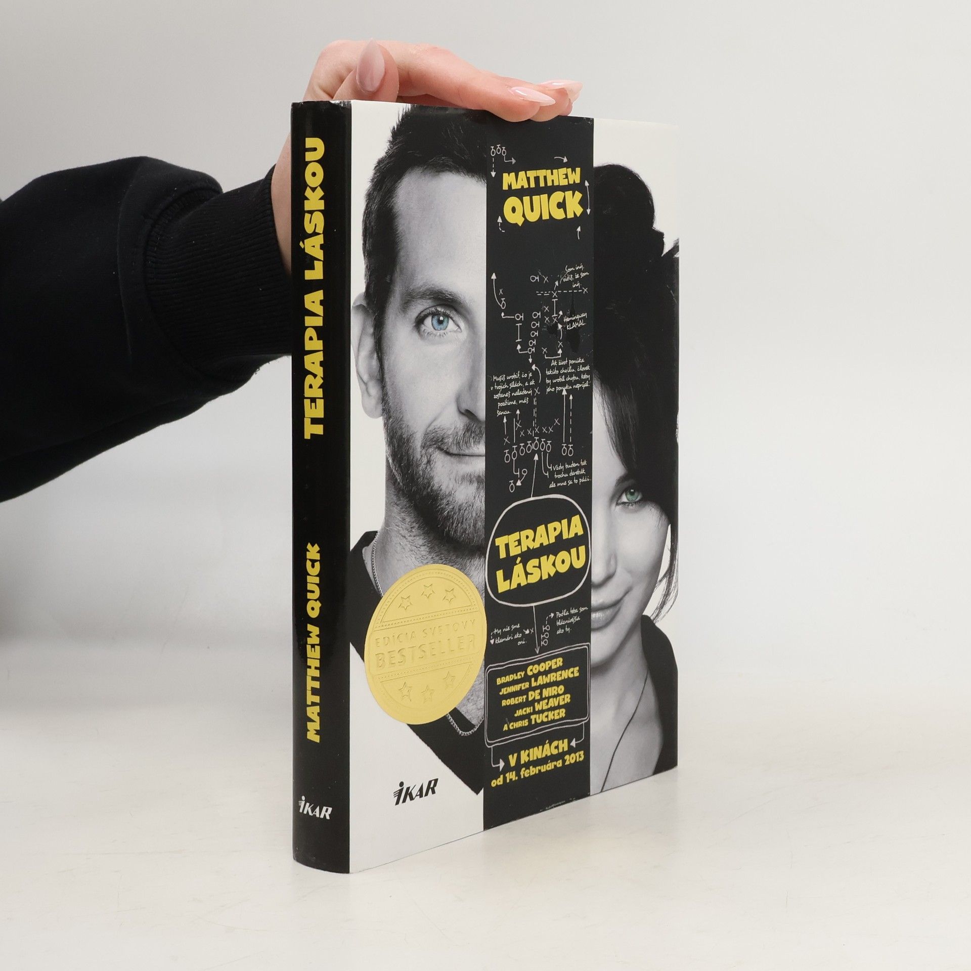 Matthew Quick Terapia láskou