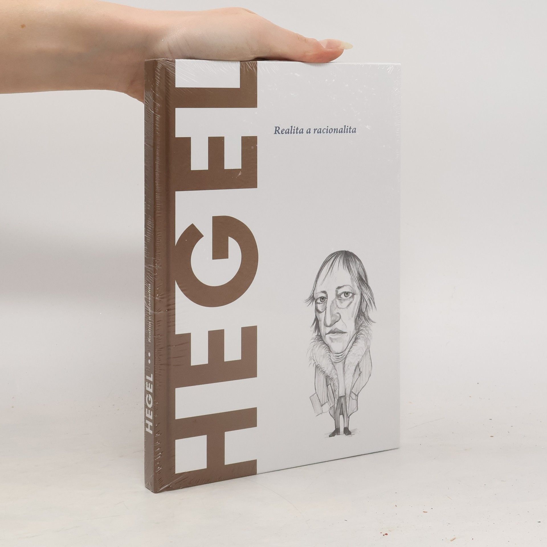 Kolektív autorov Hegel. Realita a Racionalita