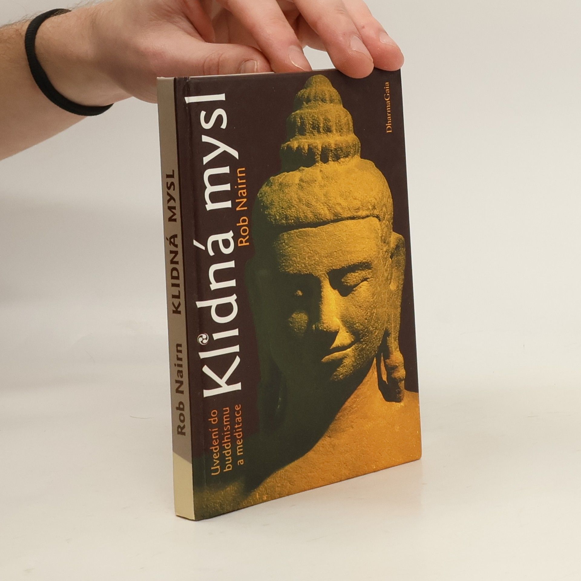 Klidná mysl: uvedení do buddhismu a meditace