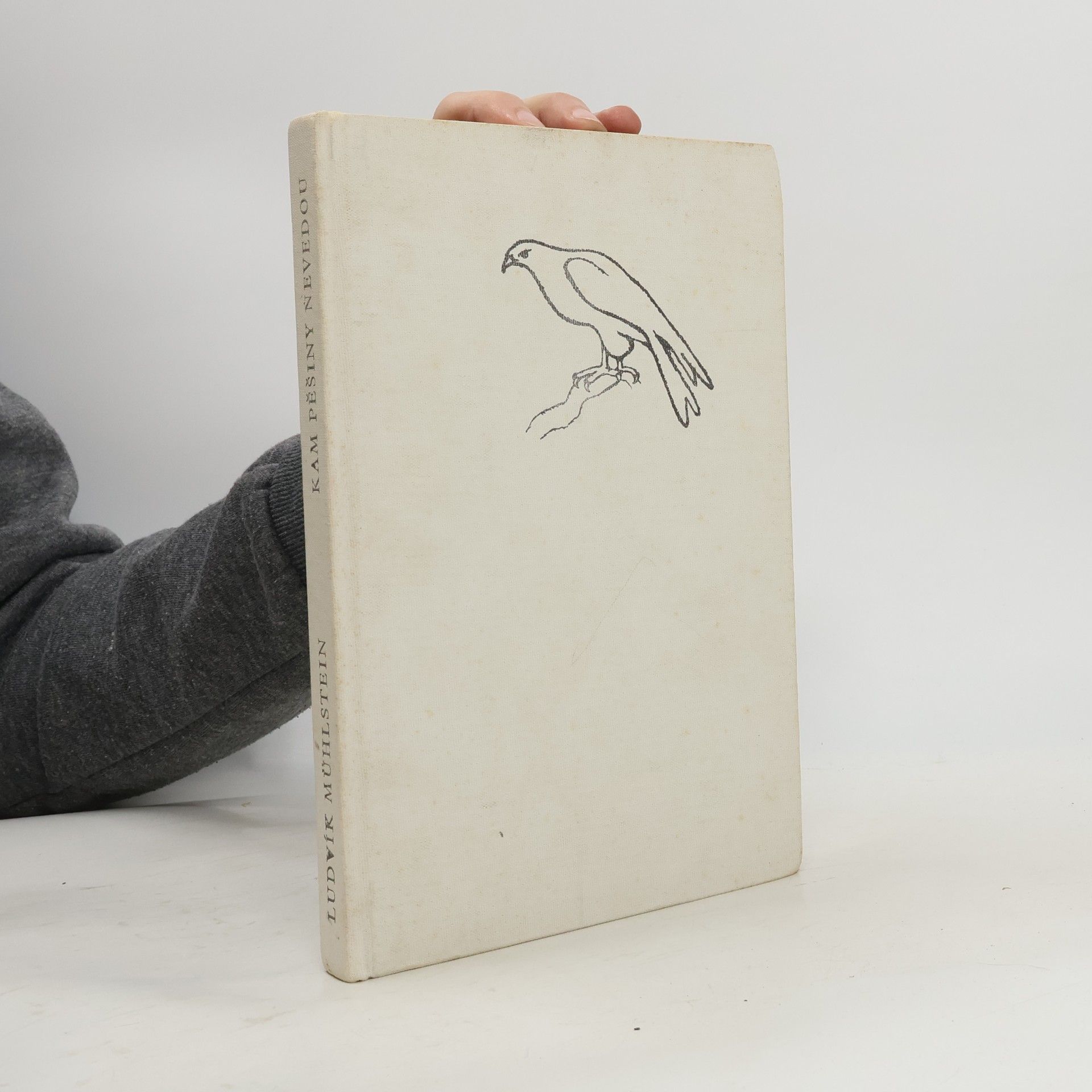 Kam pěšiny nevedou