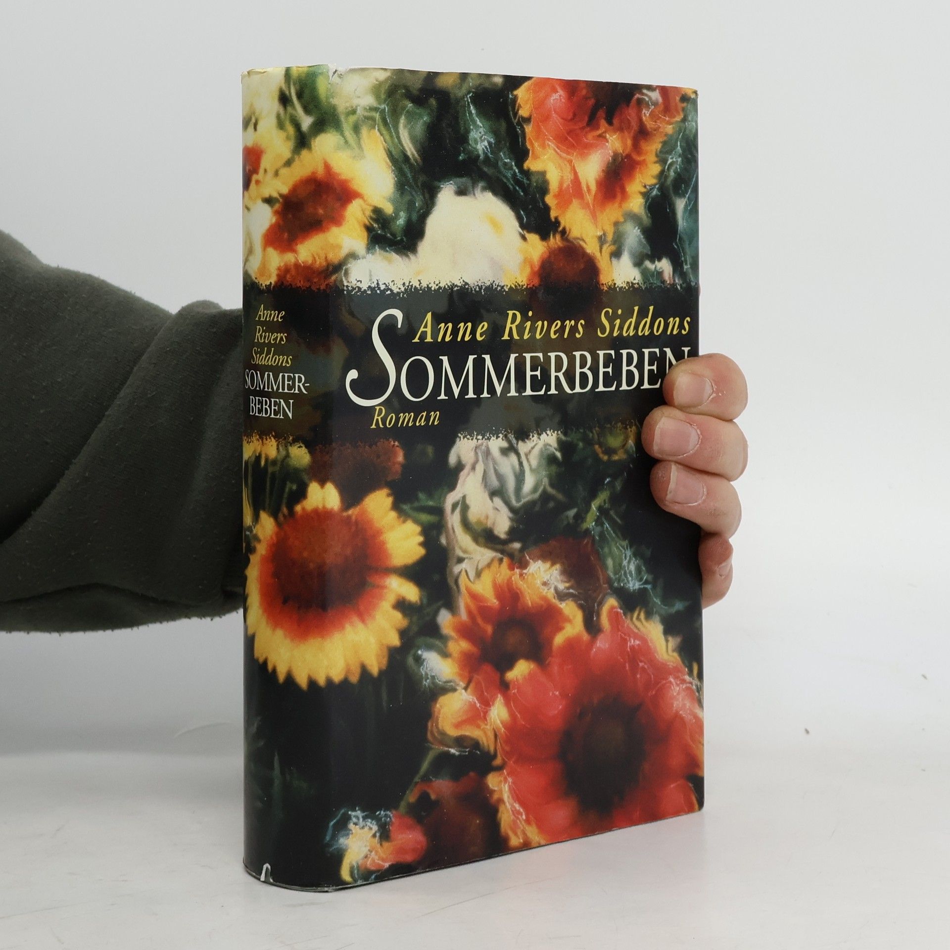 Anne Rivers Siddons Sommerbeben