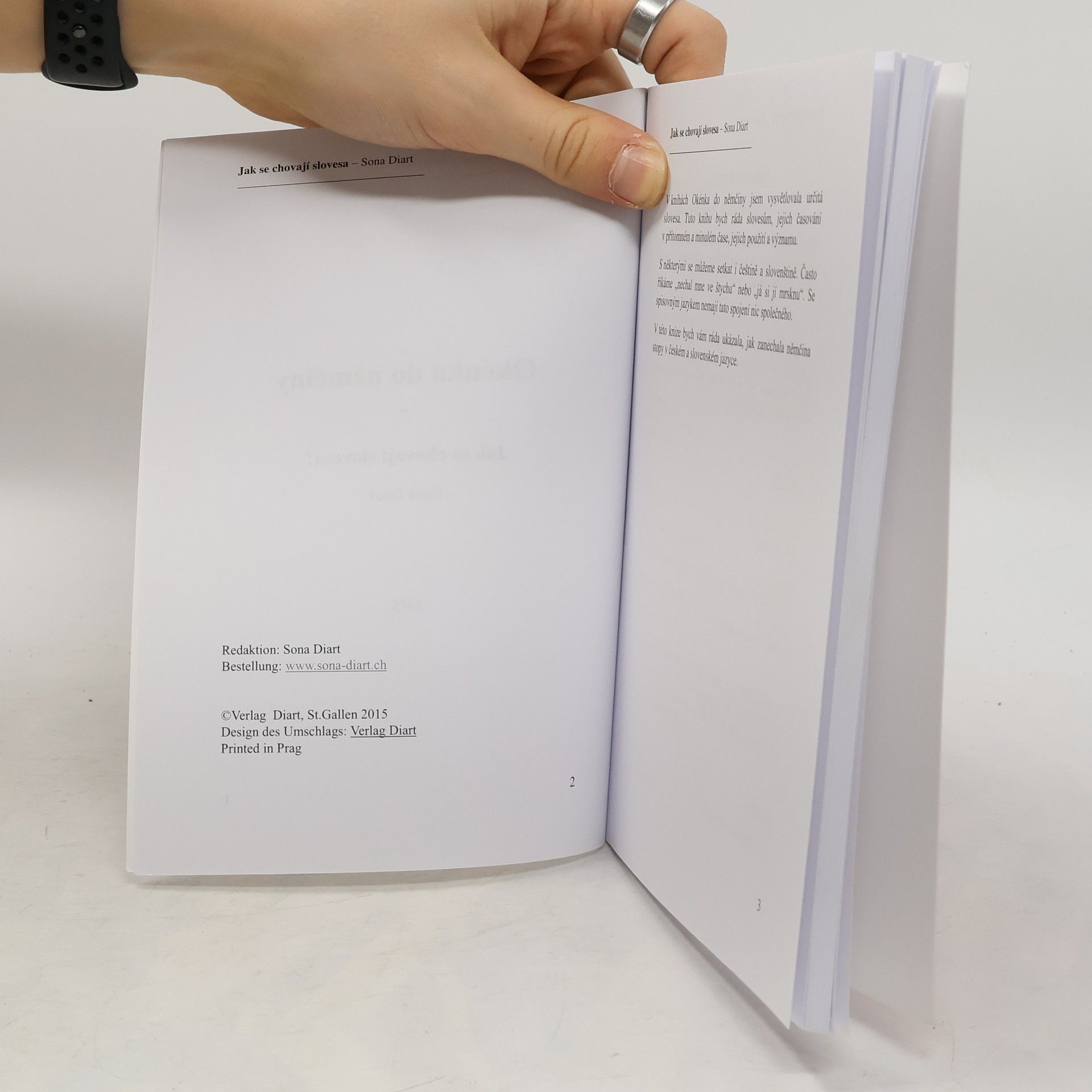 Okénka do práce ošetřovatelky. Okénka do němčiny