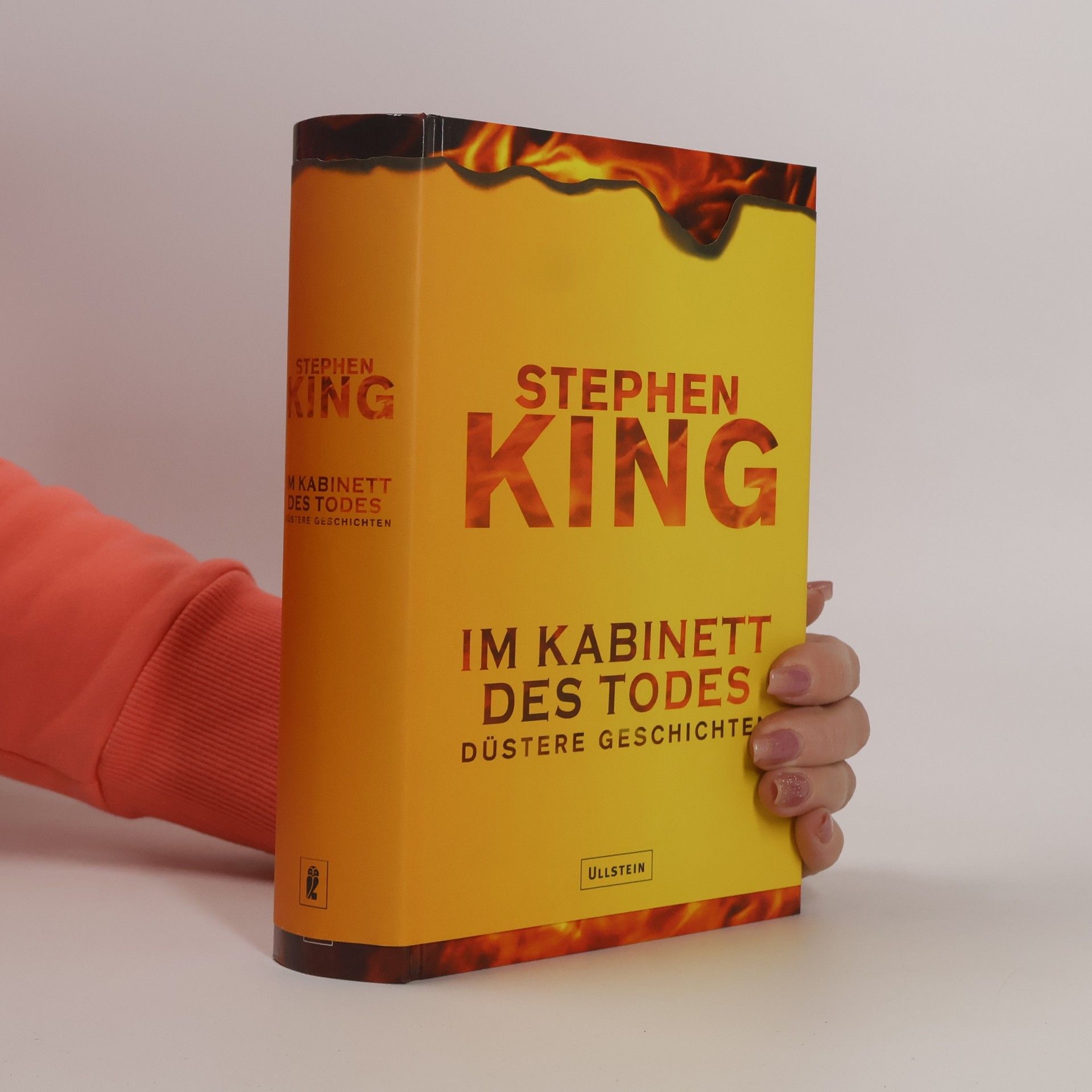 Stephen King Im Kabinett des Todes