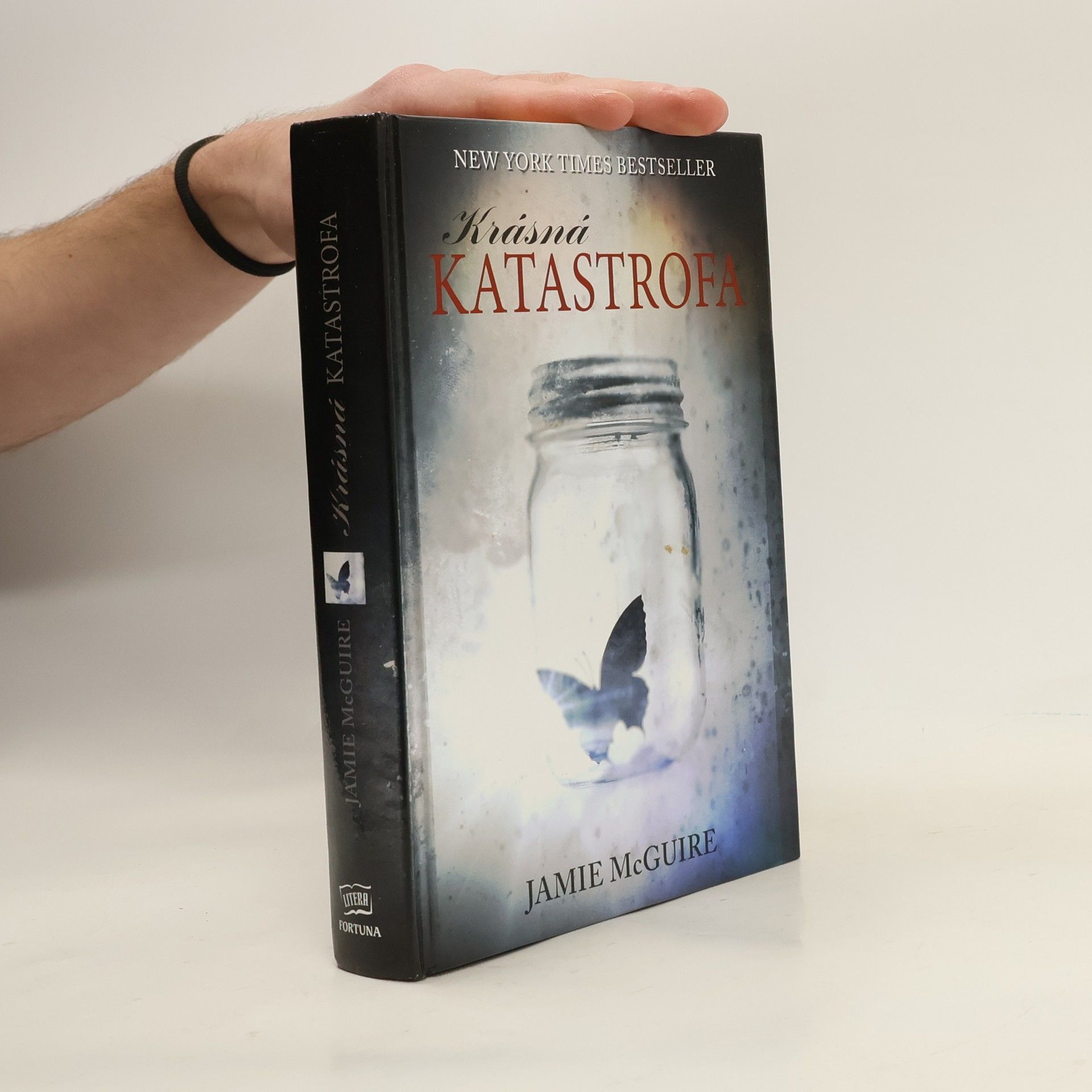 Jamie McGuire Krásná katastrofa
