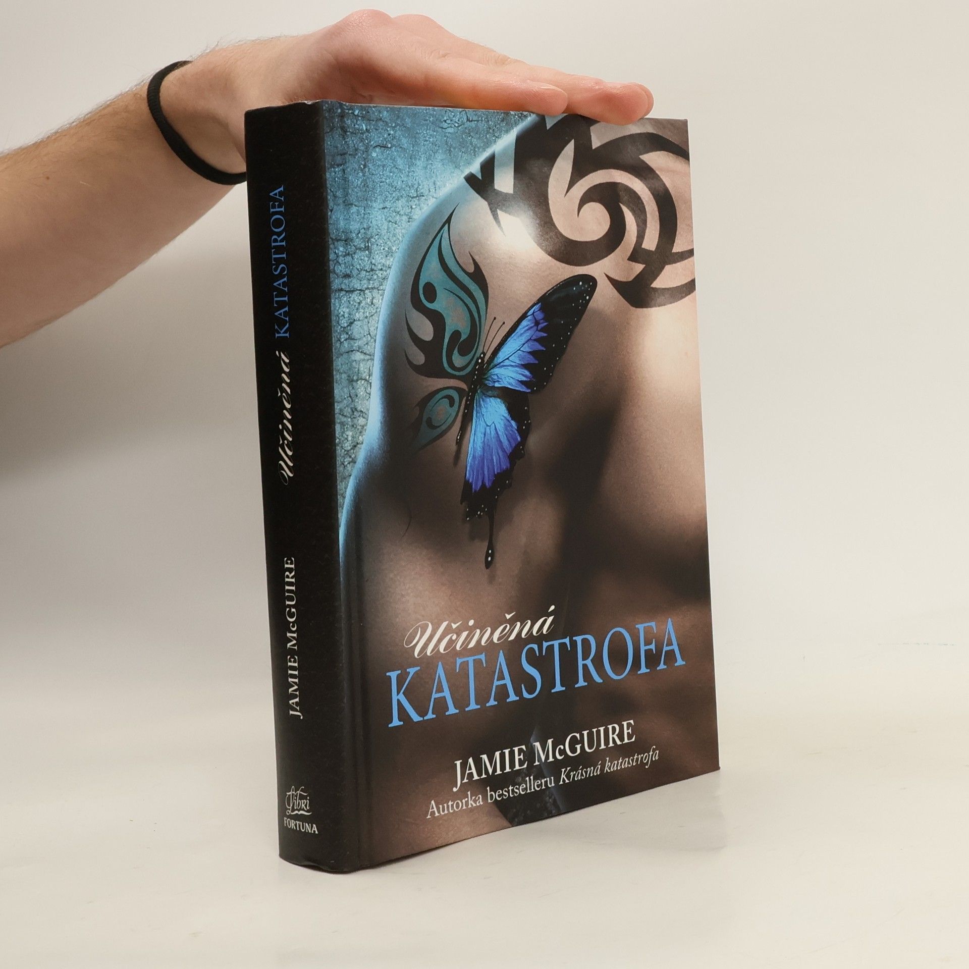 Jamie McGuire Učiněná katastrofa