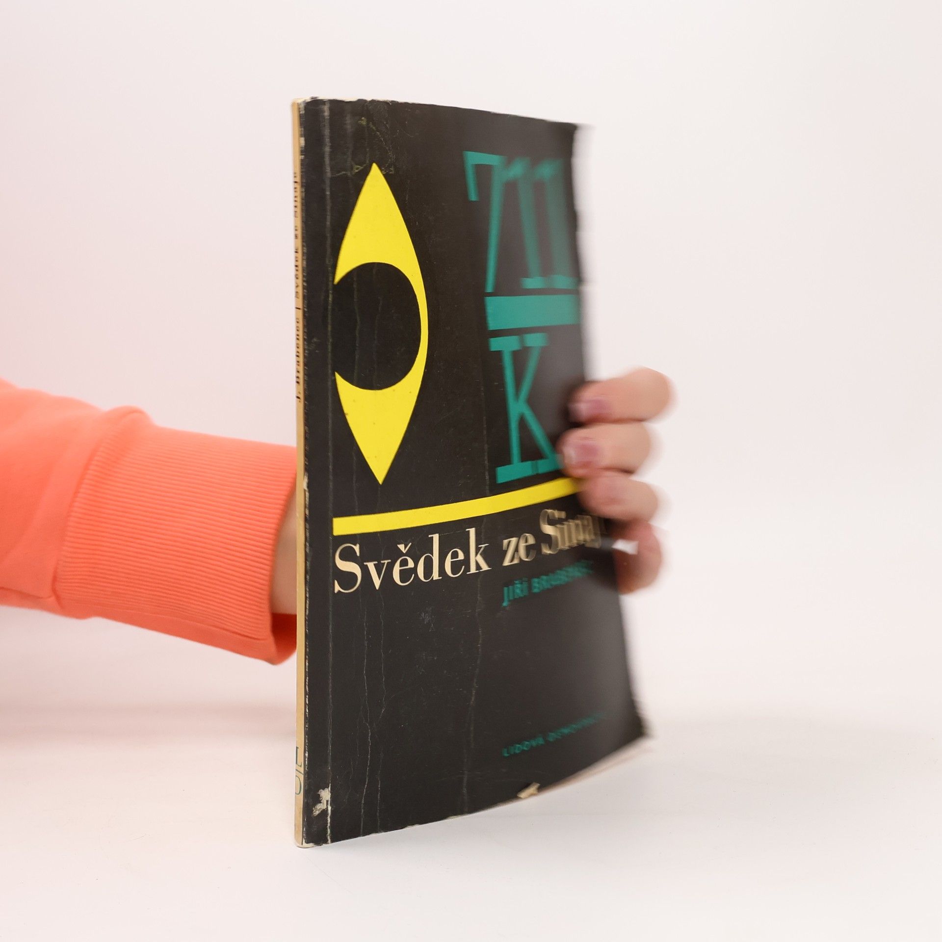 Jiří Brabenec Svědek ze Sinaje