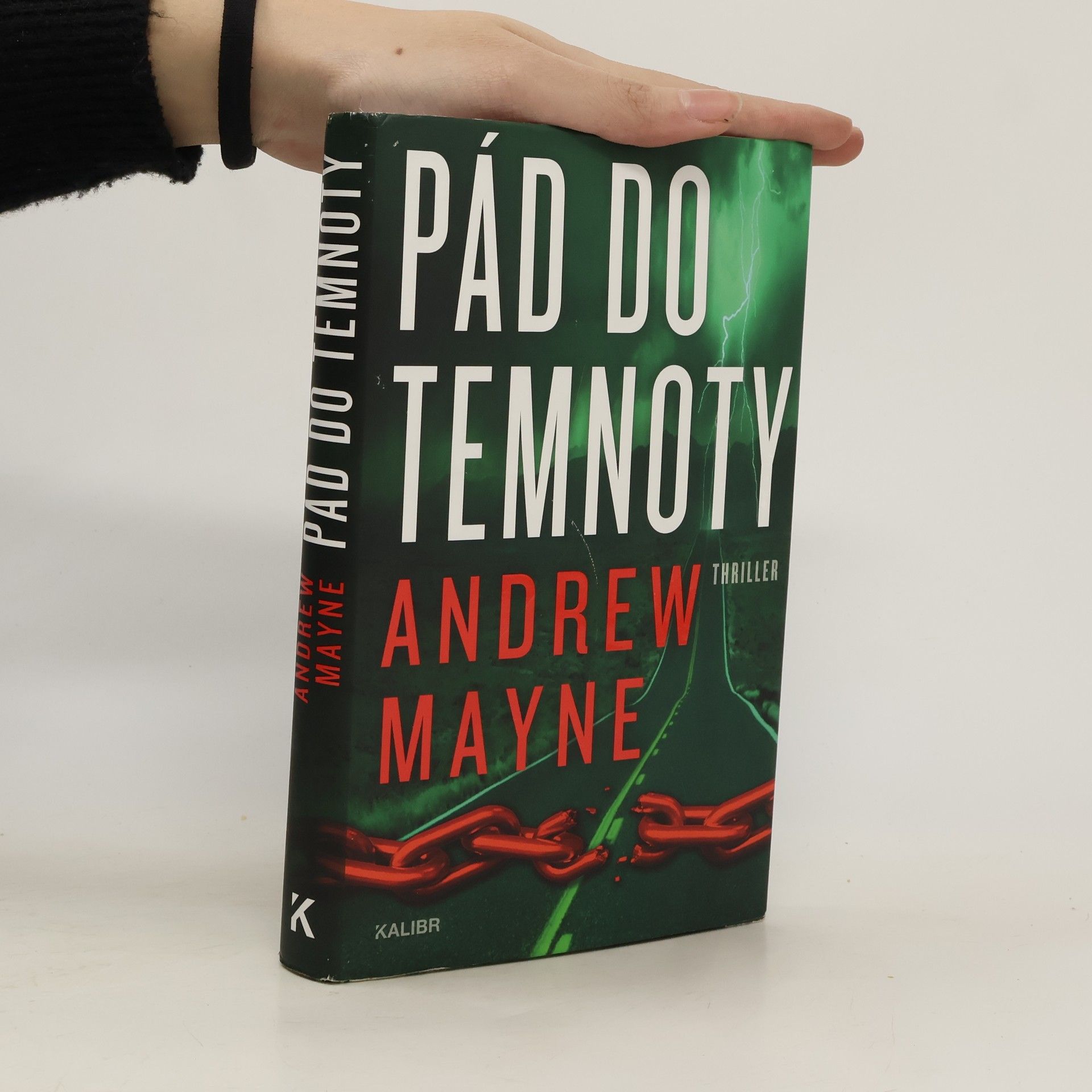 Milan Lžička Pád do temnoty