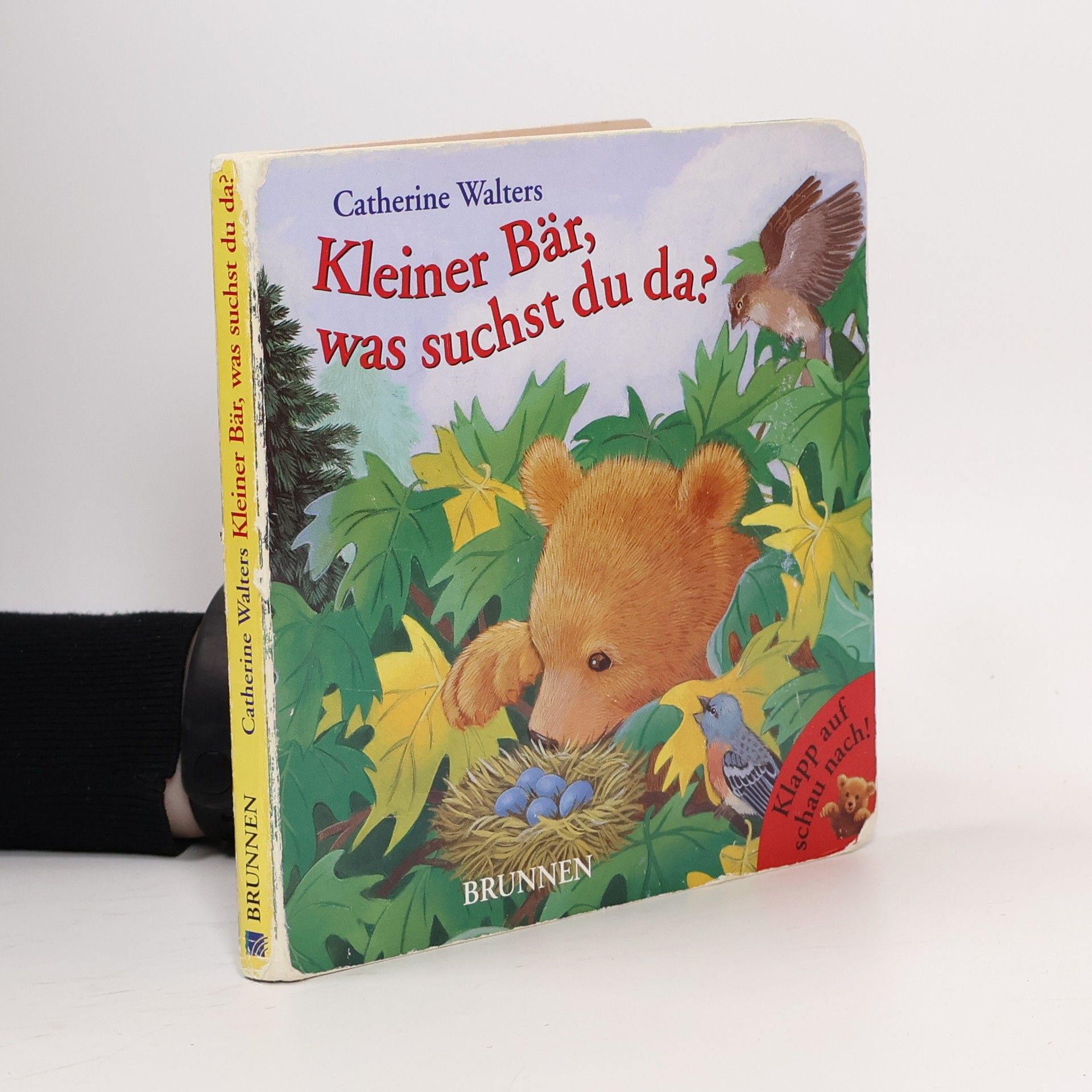 Kleiner Bär, was suchst du da?