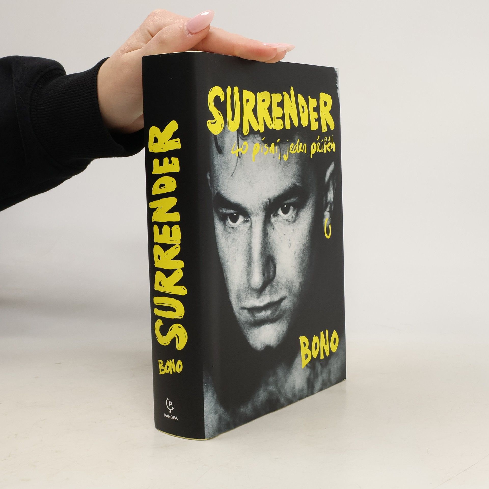 Surrender : 40 písní, jeden příběh