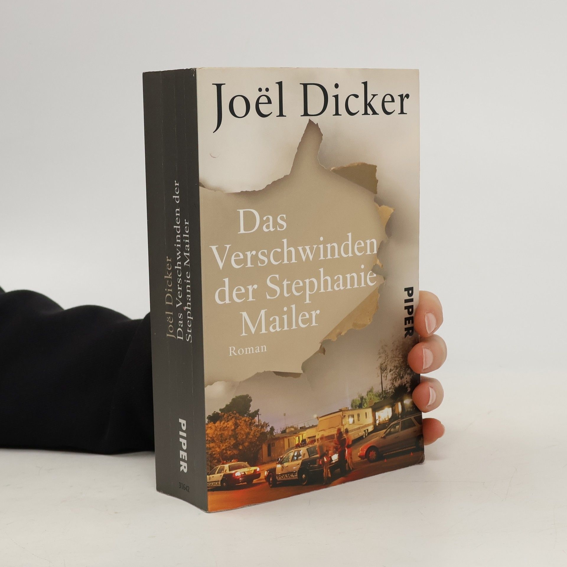 Das Verschwinden der Stephanie Mailer