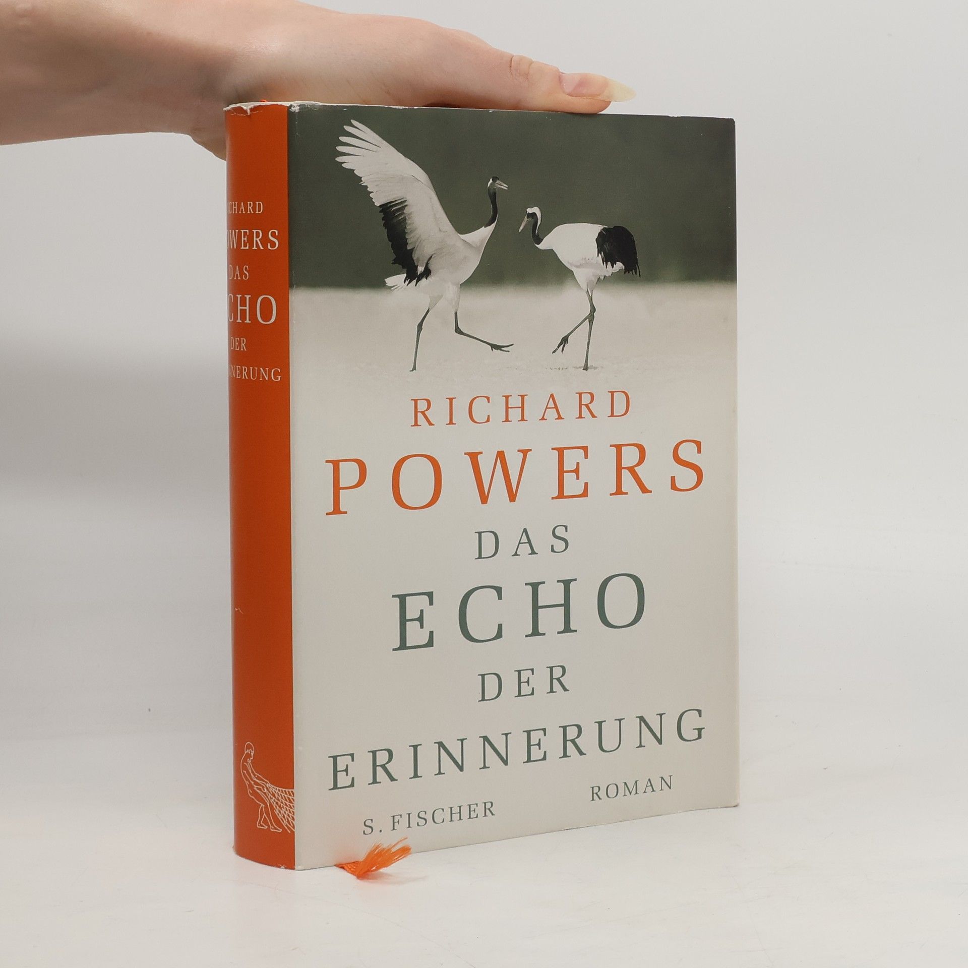 Richard Powers Das Echo der Erinnerung