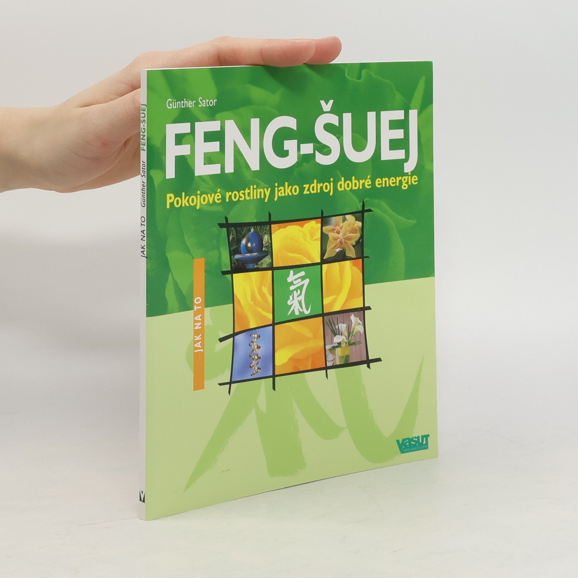Günther Sator Feng-šuej : pokojové rostliny jako zdroj dobré energie