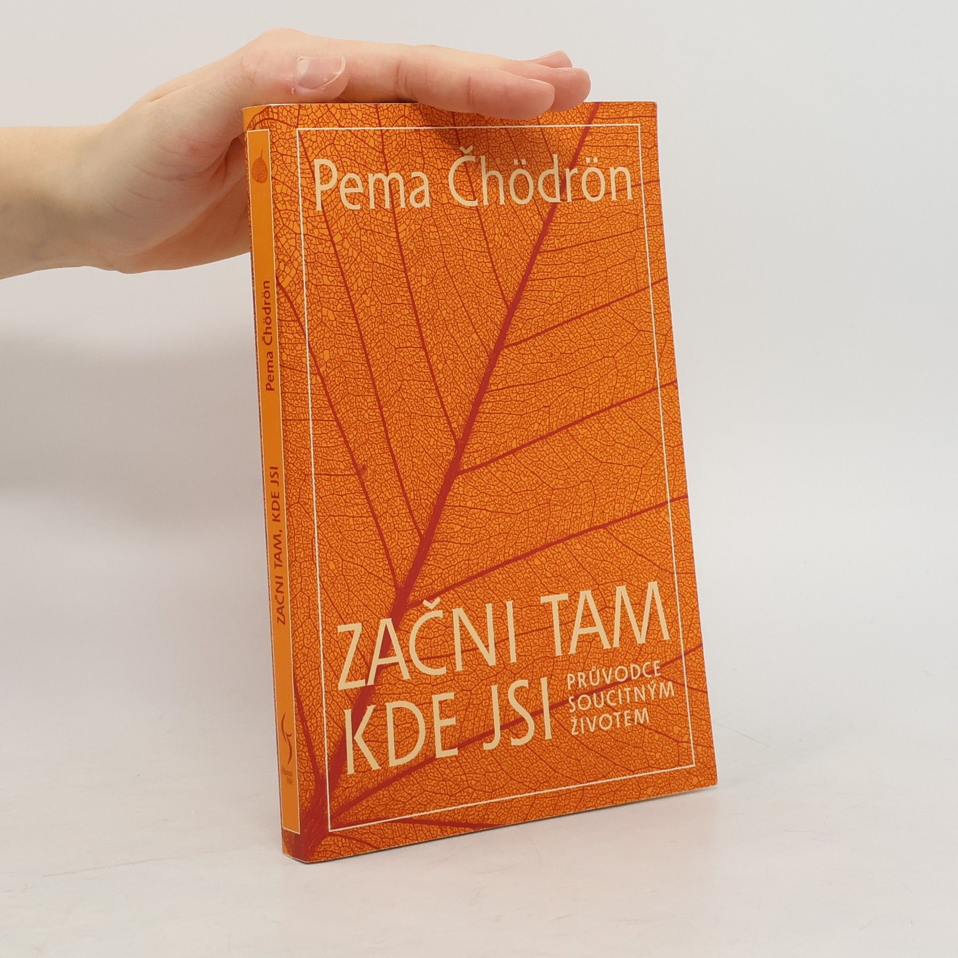 Pema Chödrön Začni tam, kde jsi: Průvodce soucitným životem