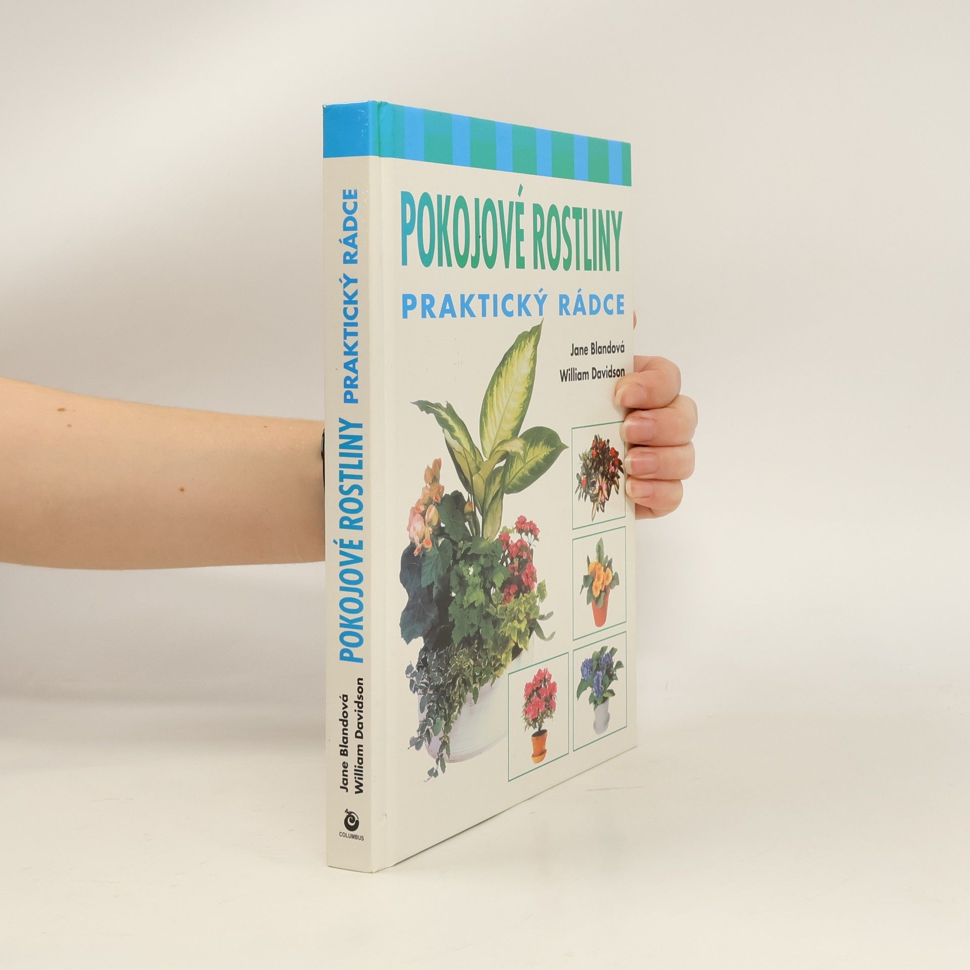 Jane Bland Pokojové rostliny : praktický rádce