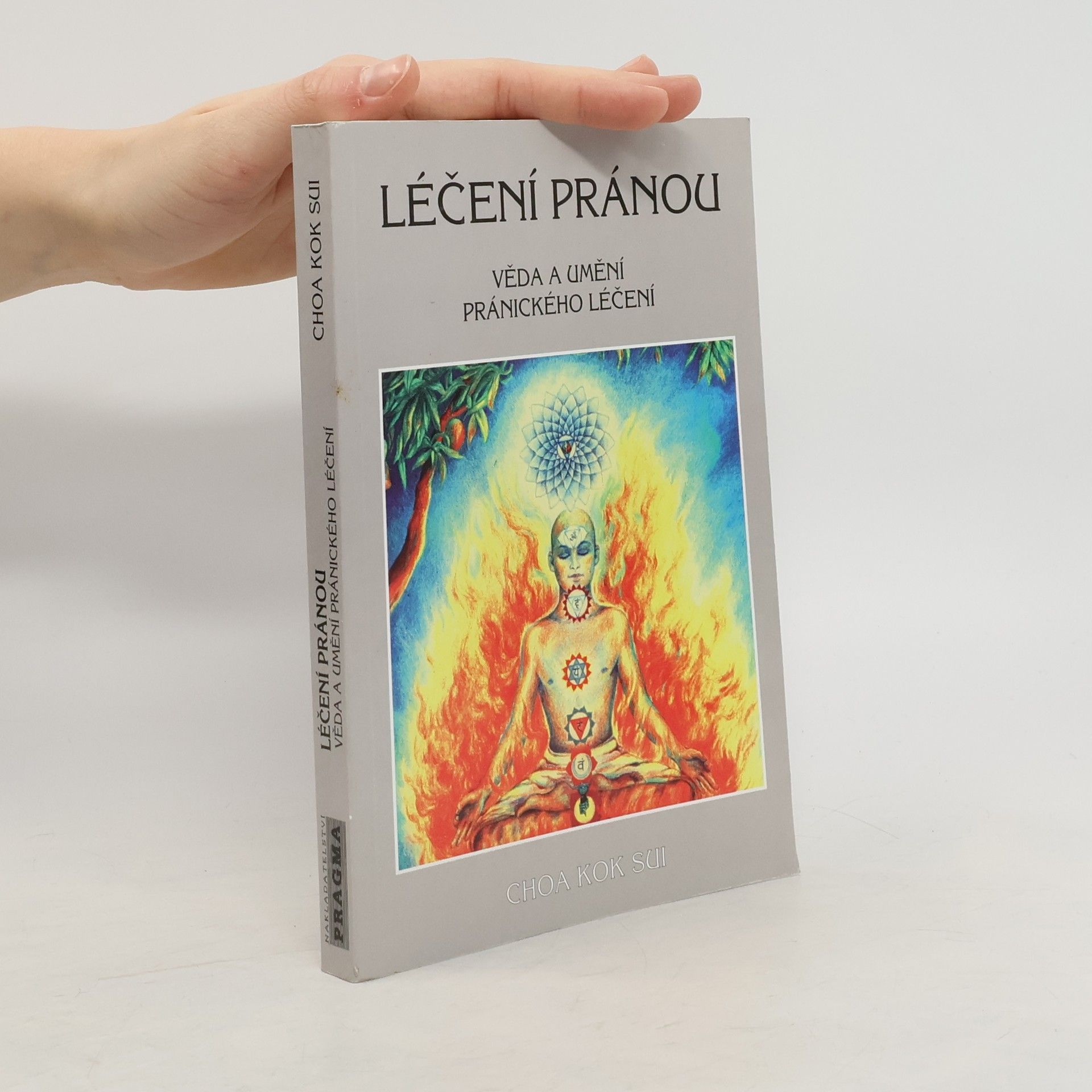 Choa Kok Sui Léčení pránou: Věda a umění pránického léčení
