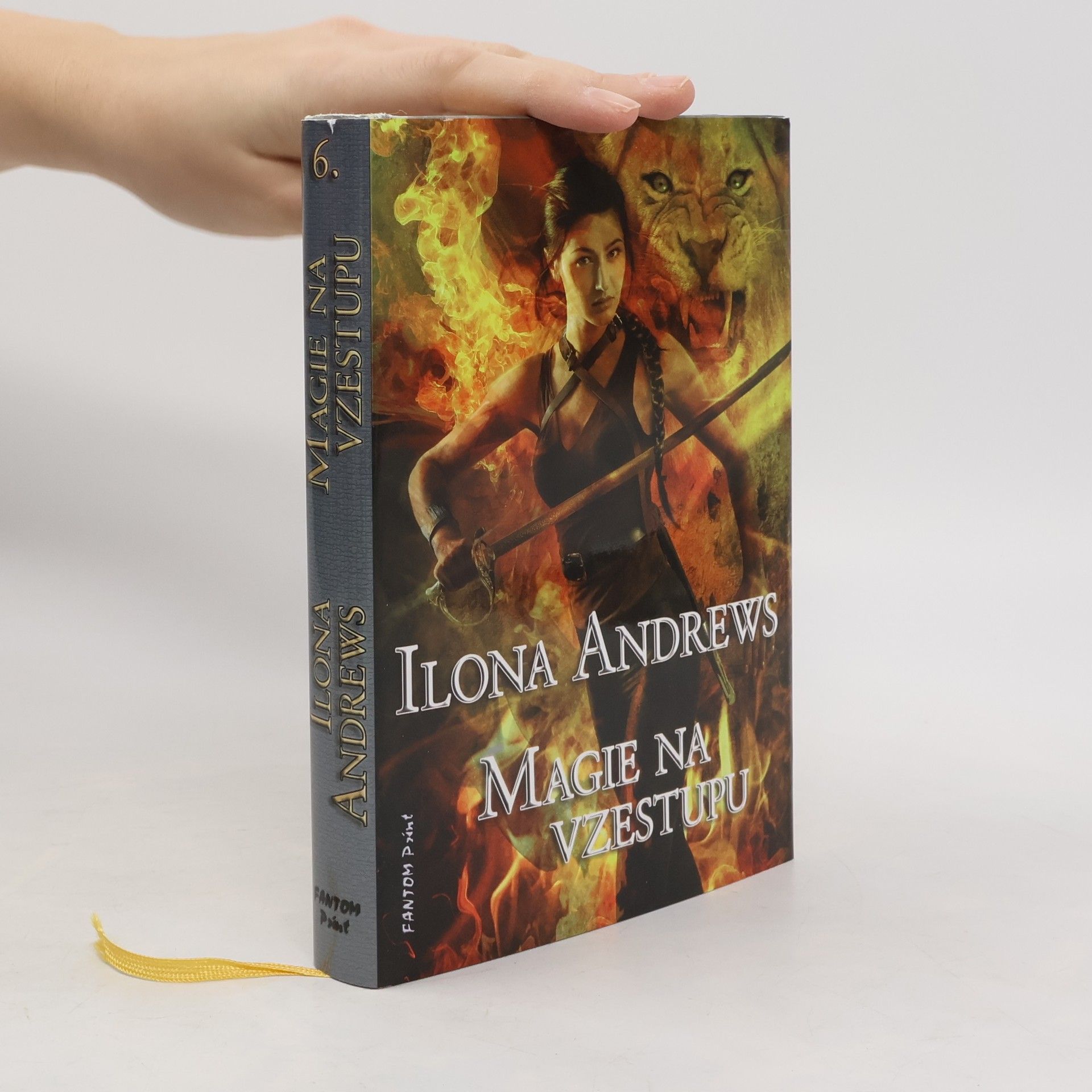 Ilona Andrews Magie na vzestupu