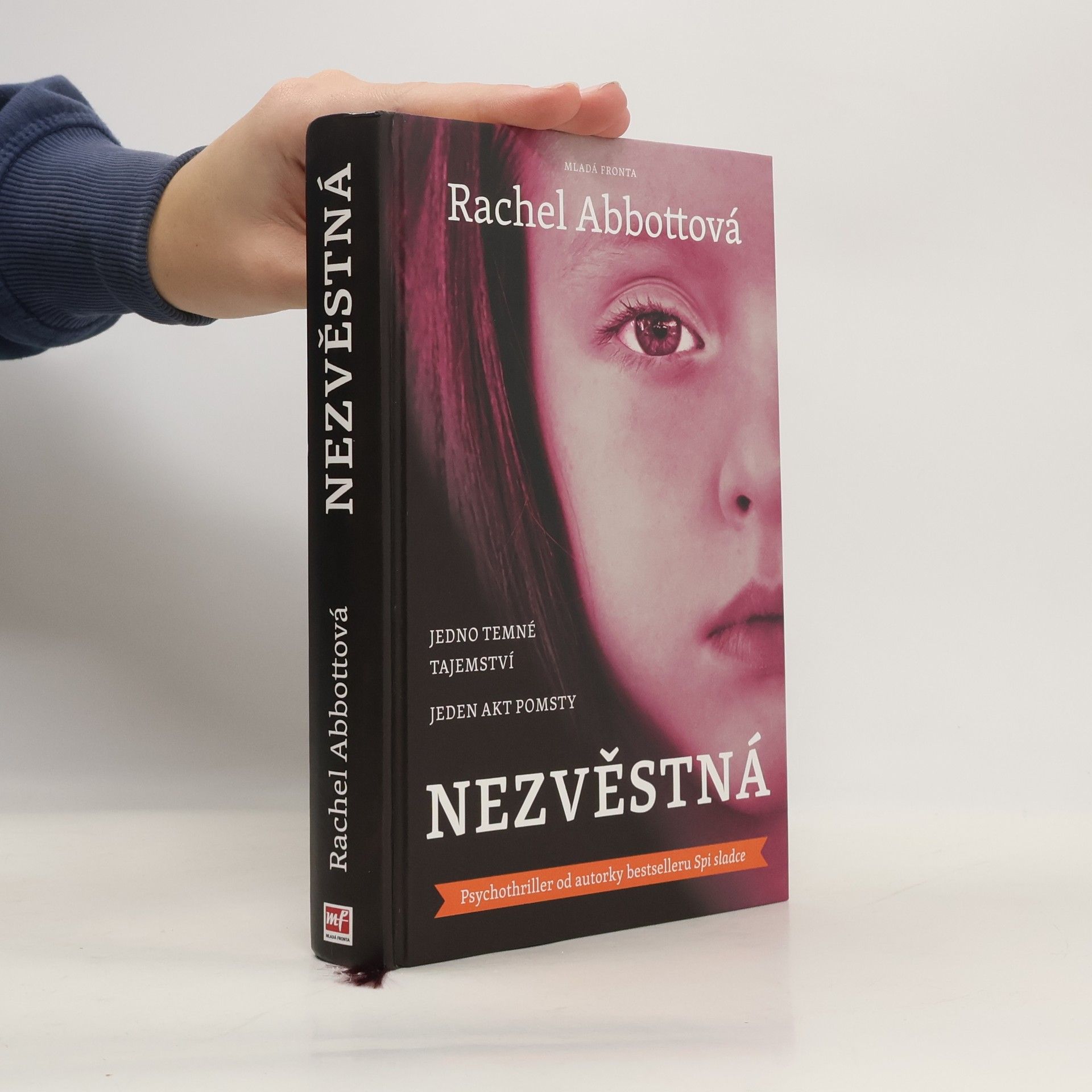 Rachel Abbott Nezvěstná