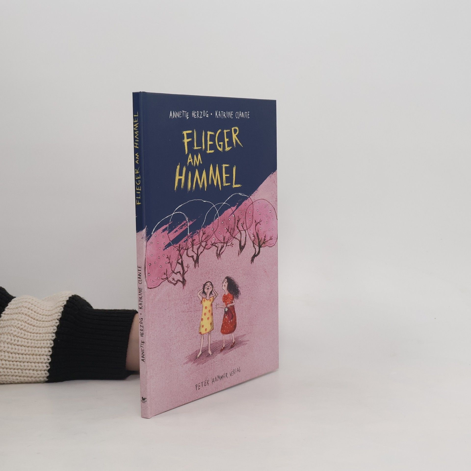 Annette Herzog Flieger am Himmel