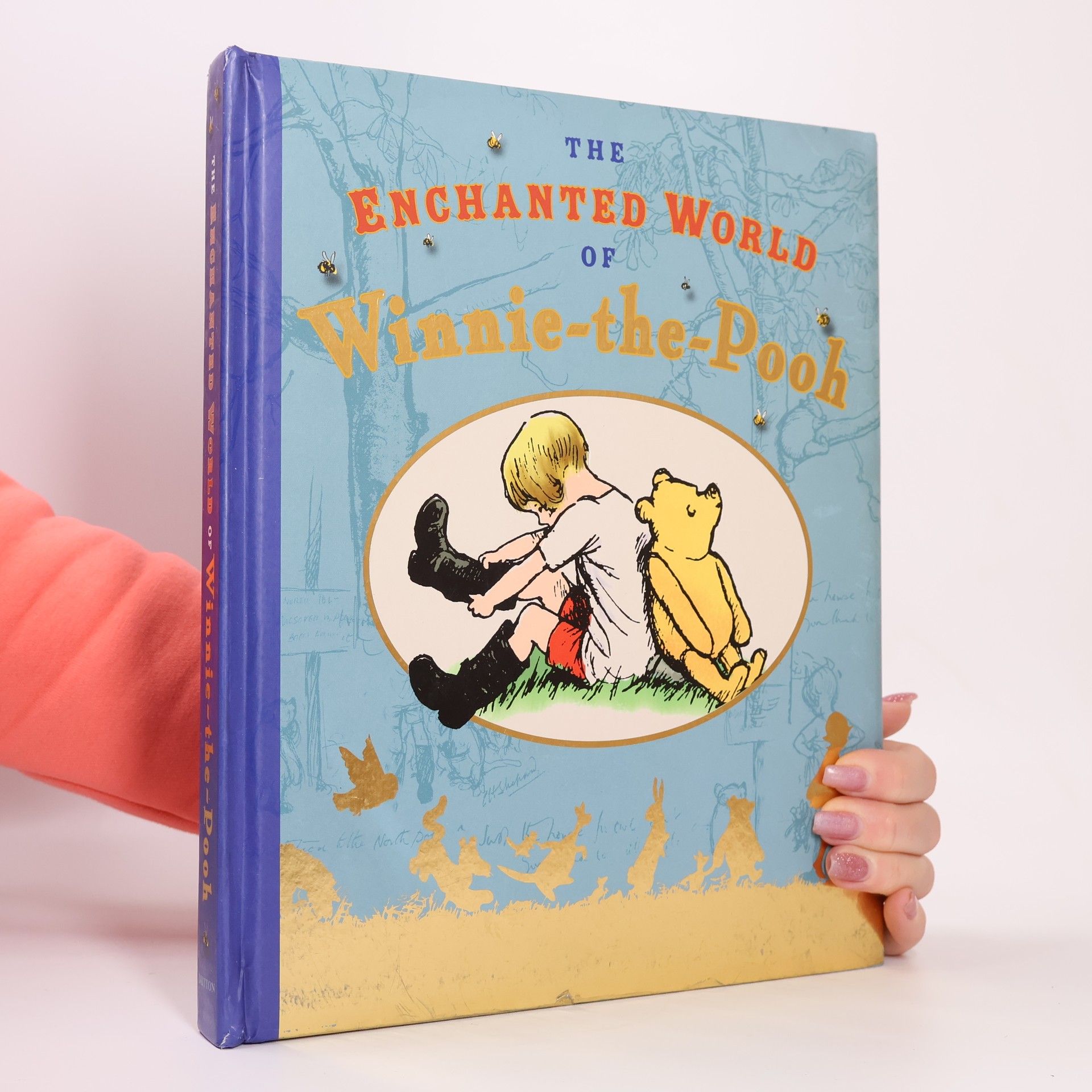 Kolektív autorov The Enchanted World of Winnie-the-Pooh