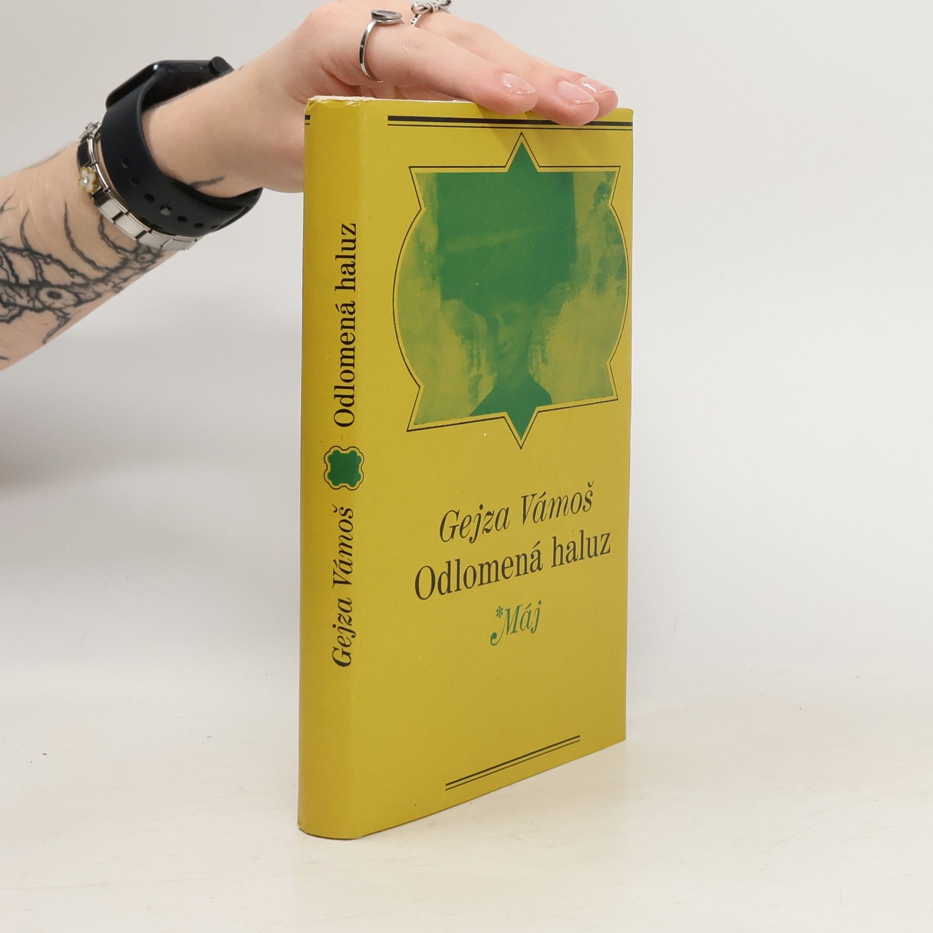 Gejza Vámoš Odlomená haluz