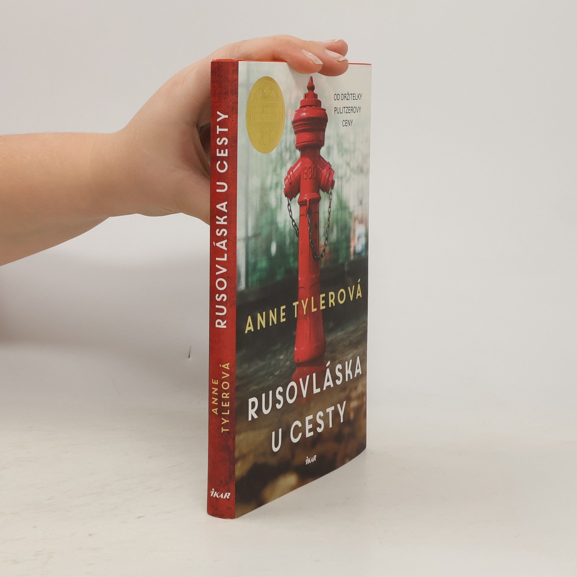 Anne Tyler Rusovláska u cesty
