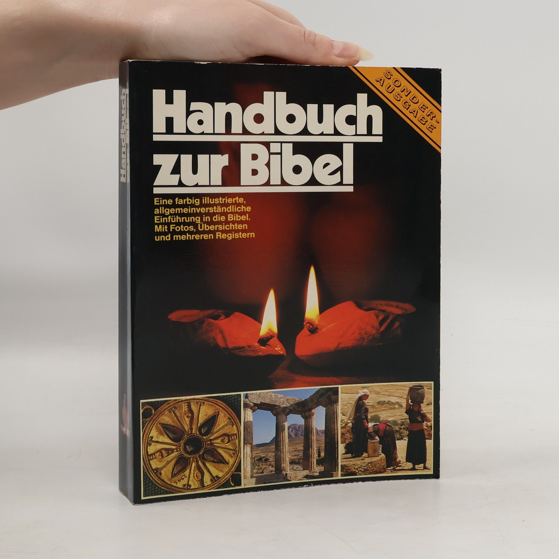 Pat Alexander Handbuch zur Bibel