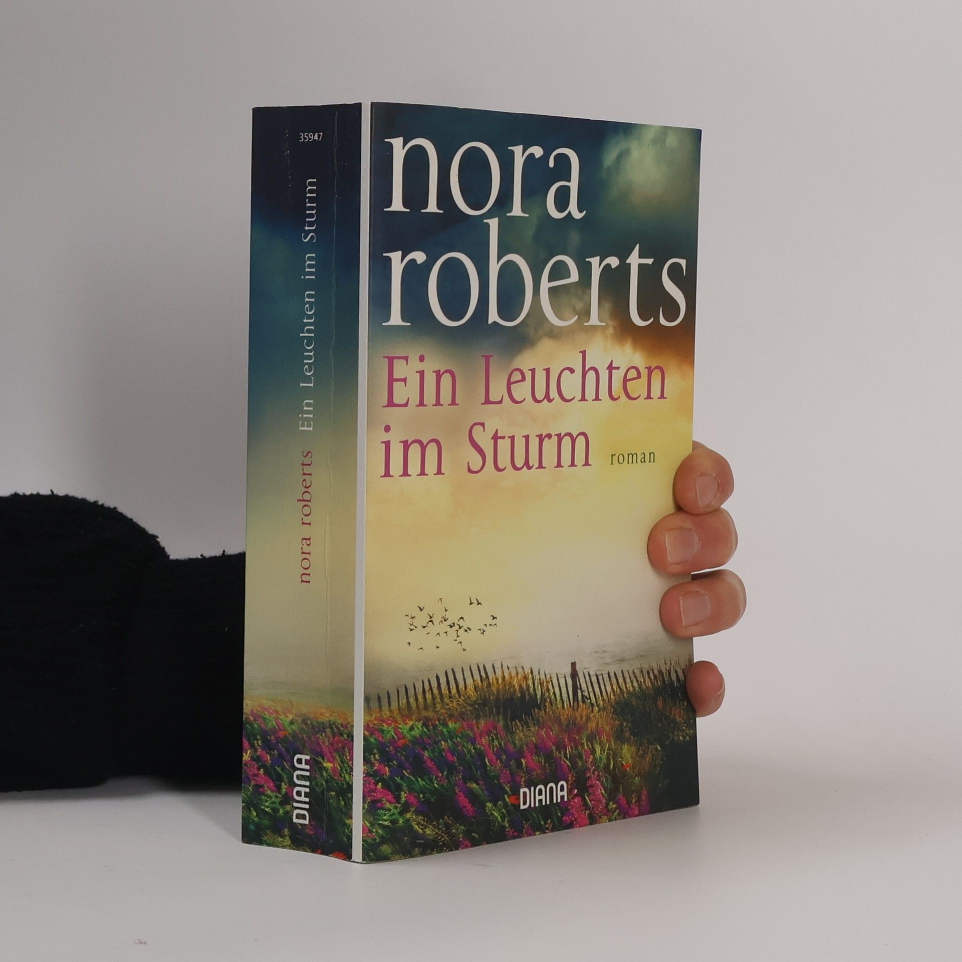 Nora Roberts Ein Leuchten im Sturm