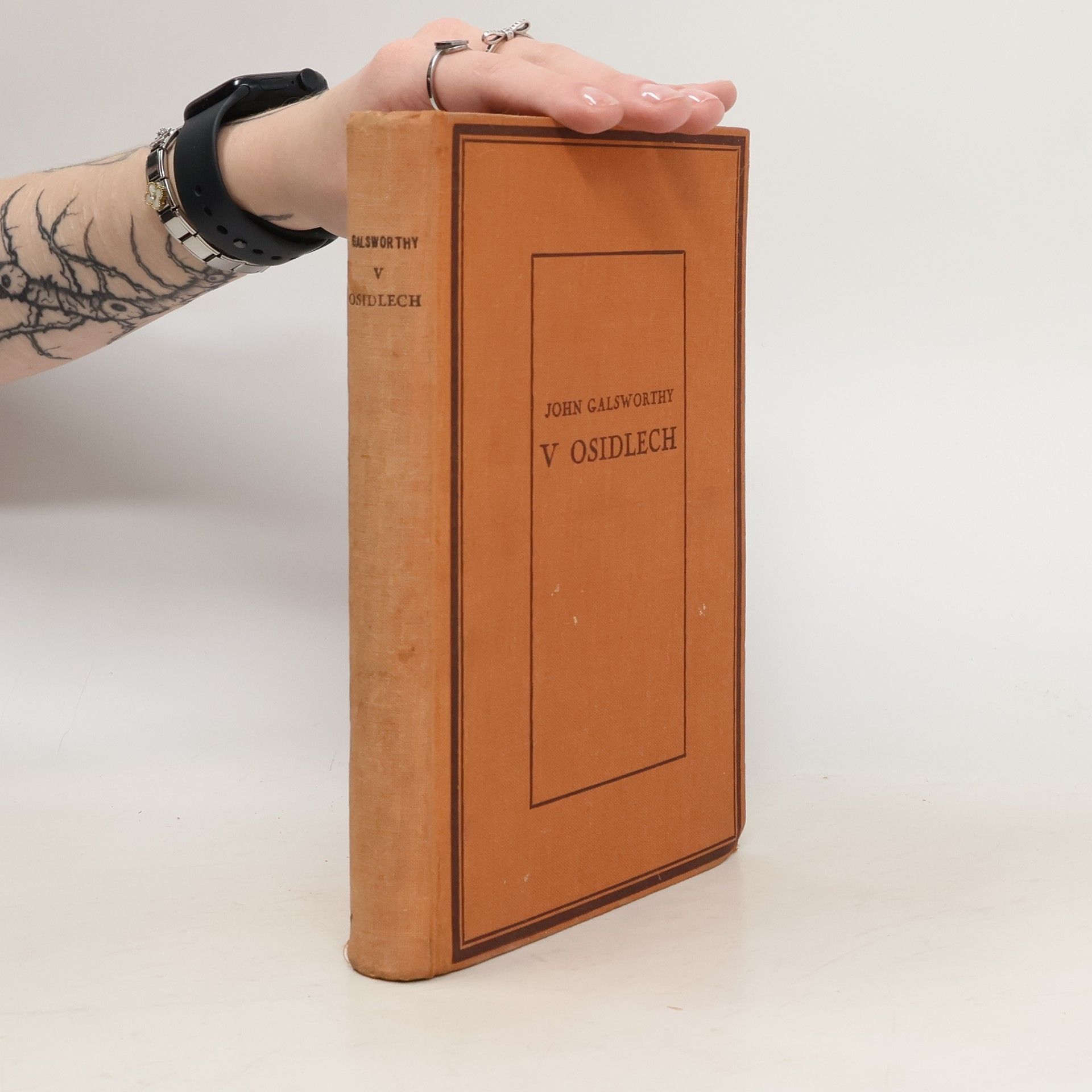 Sága rodu Forsytů II: V Osidlech