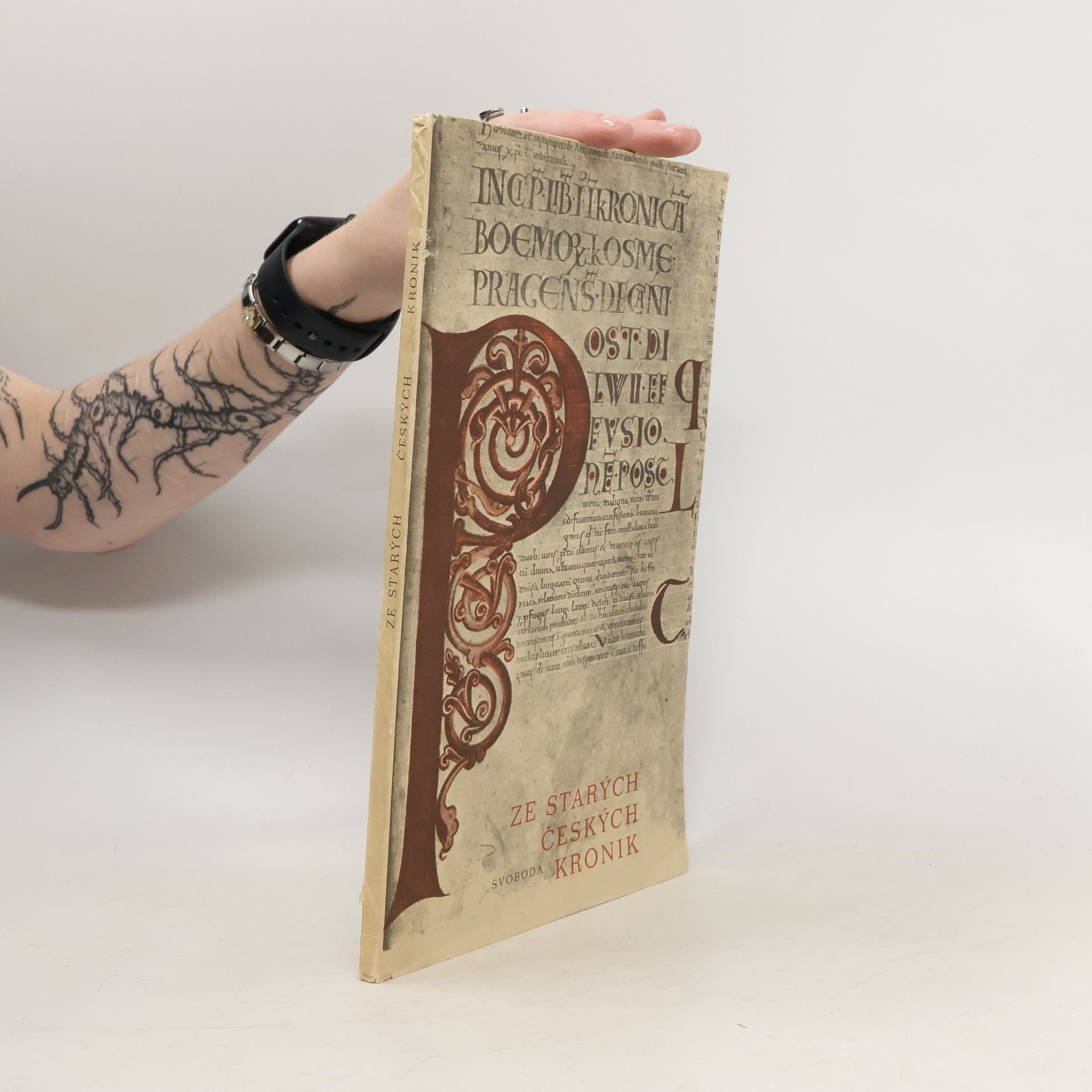 Autorenkollektiv Ze starých českých kronik