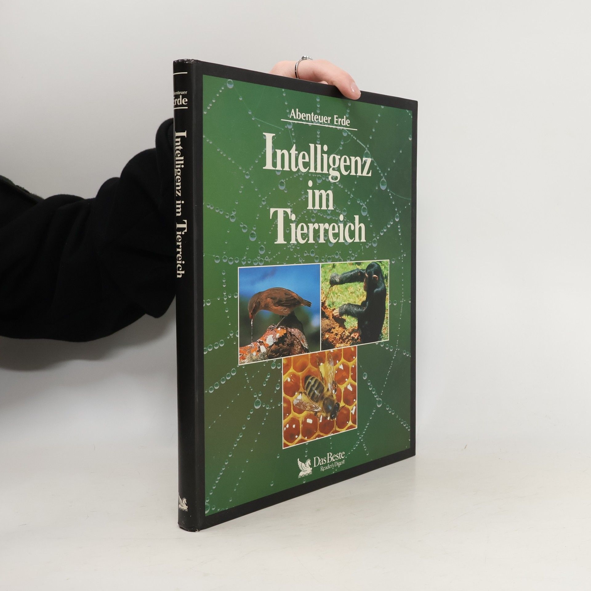 Autorenkollektiv Intelligenz im Tierreich