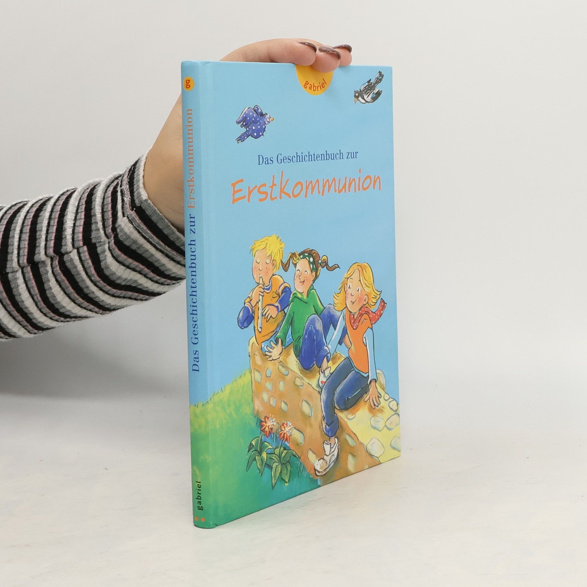 Das Geschichtenbuch zur Erstkommunion