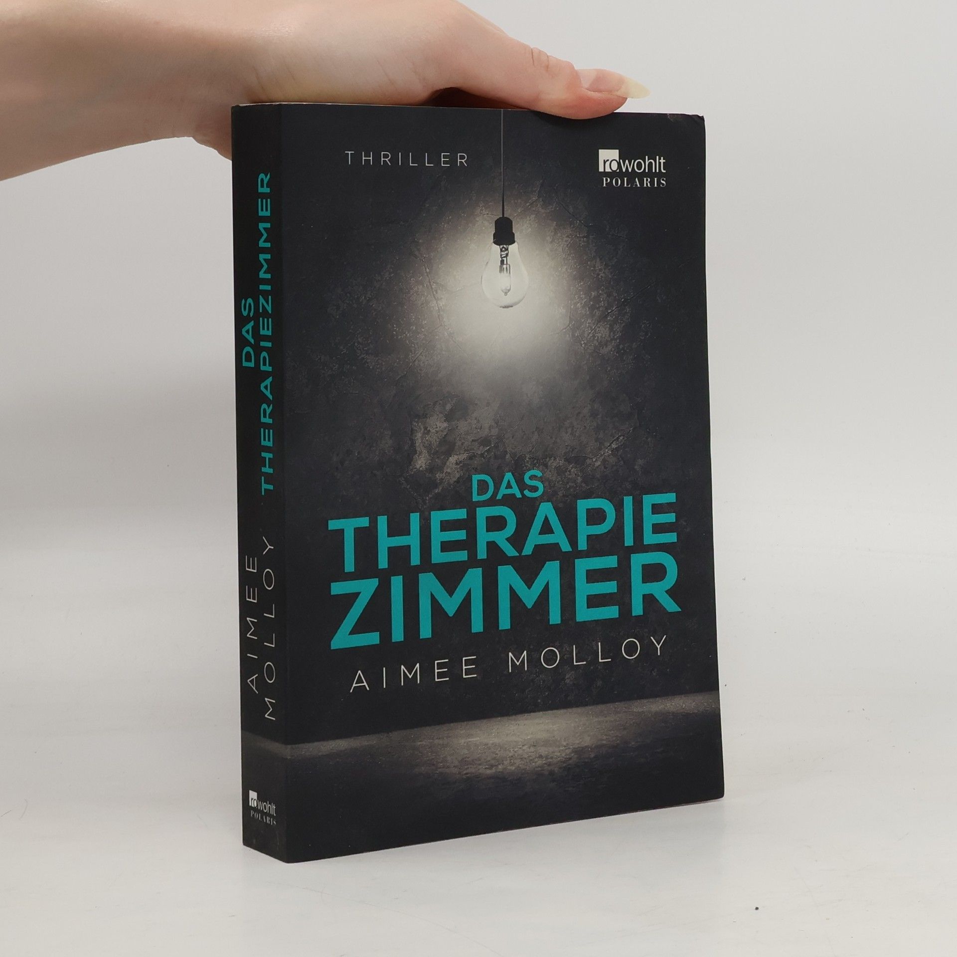Aimee Molloy Das Therapiezimmer