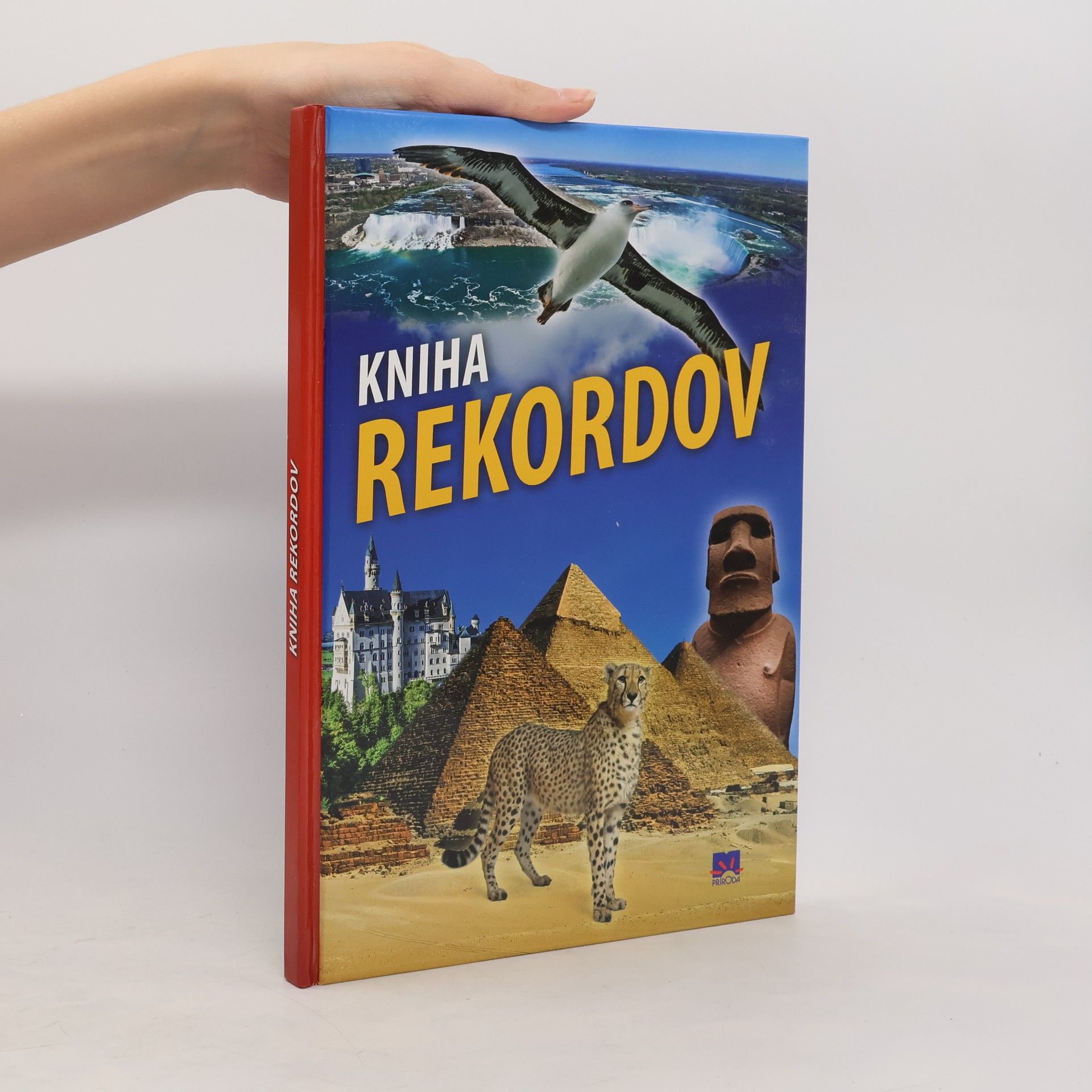 Kolektív autorov Kniha rekordov