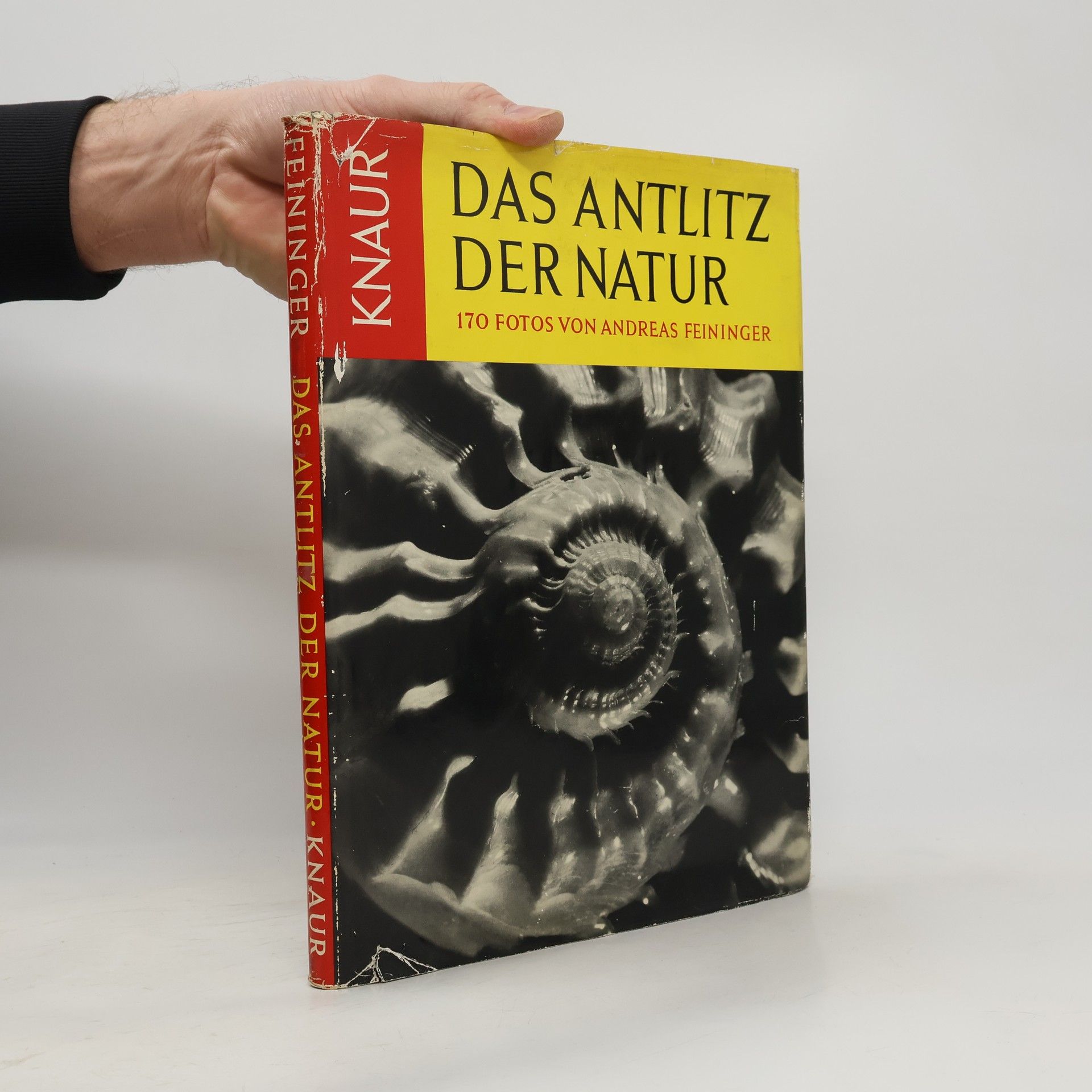 Andreas Feininger Das Antlitz der Natur