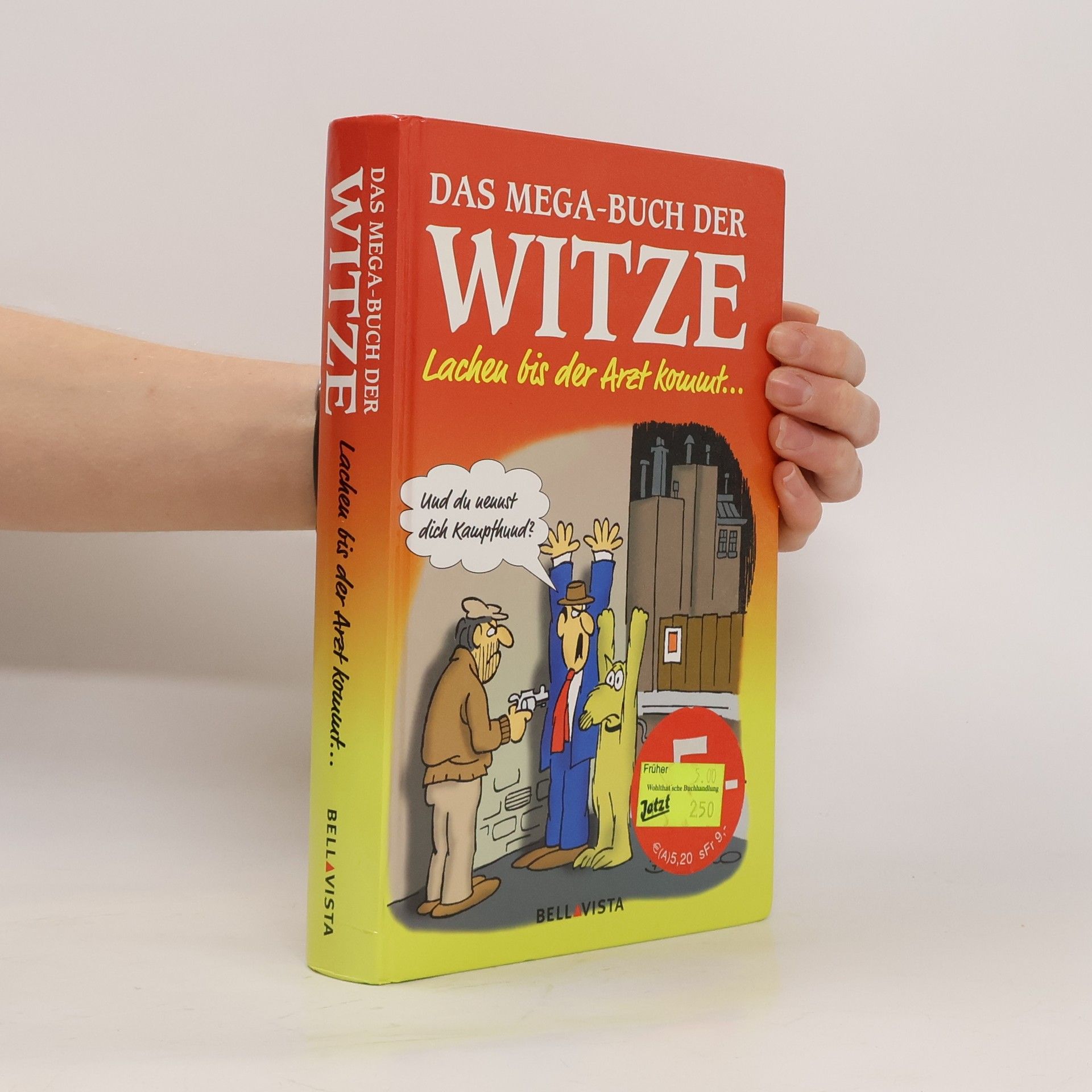 Autorenkollektiv Das Mega-Buch der Witze