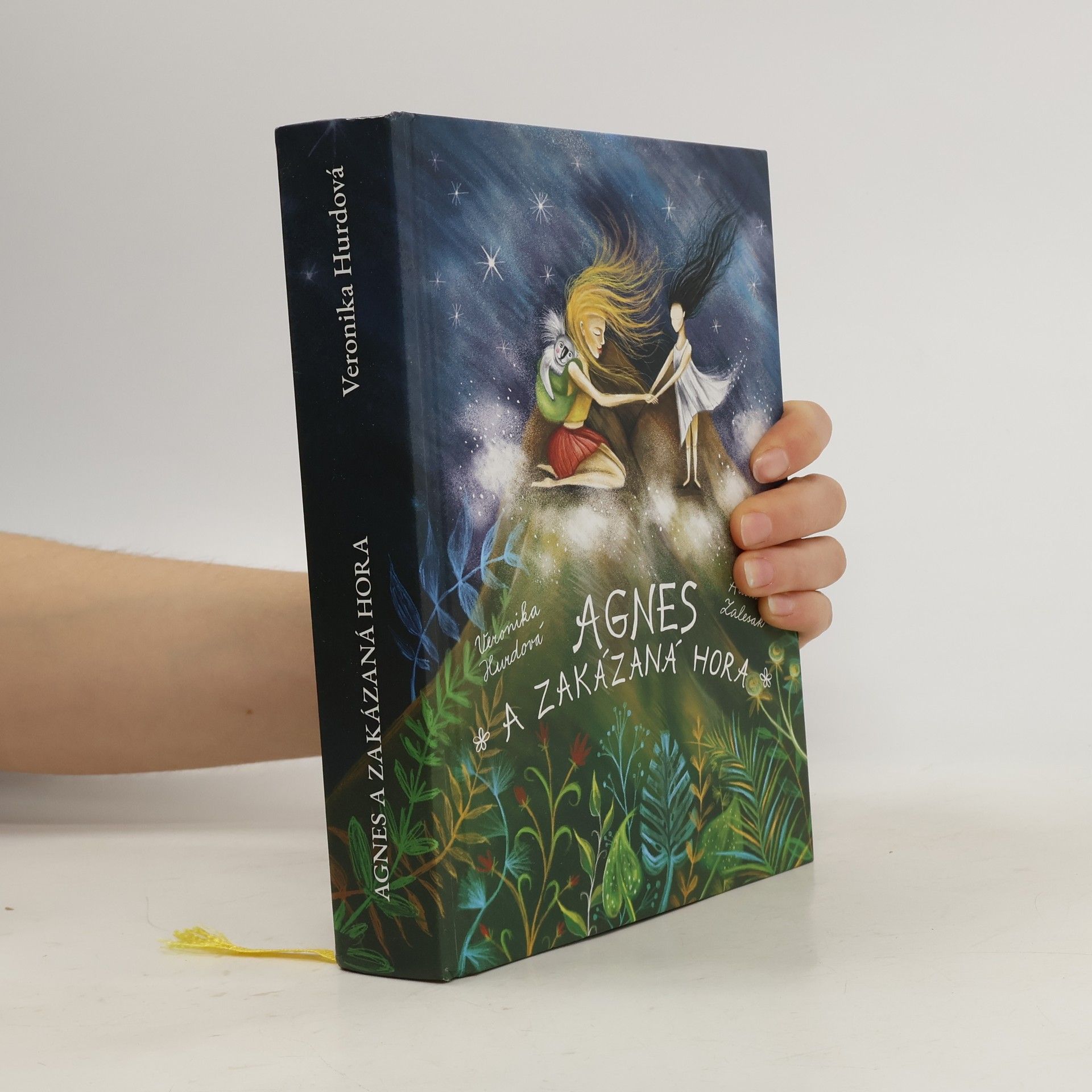 Veronika Hurdová Agnes a Zakázaná hora