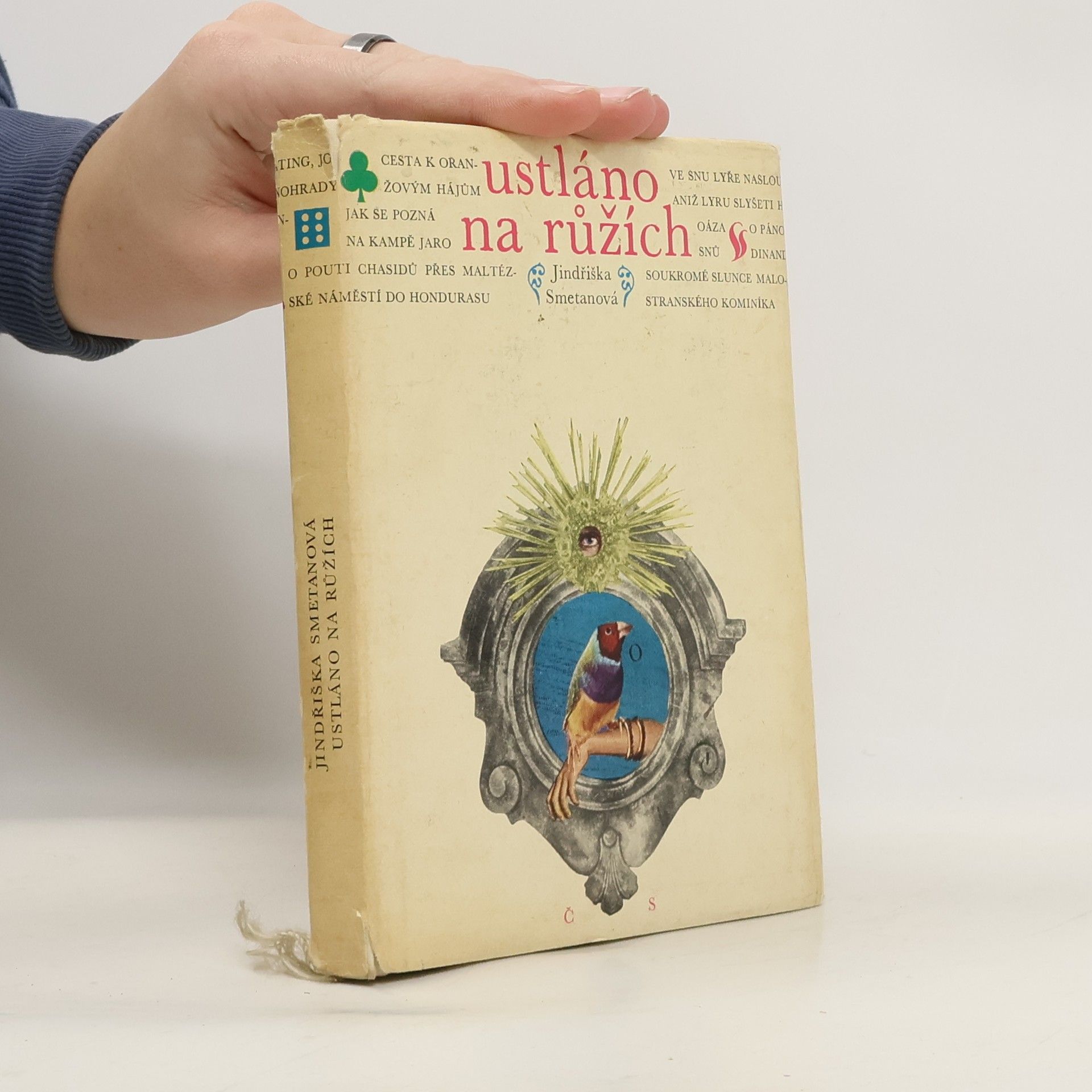 Ustláno na růžích