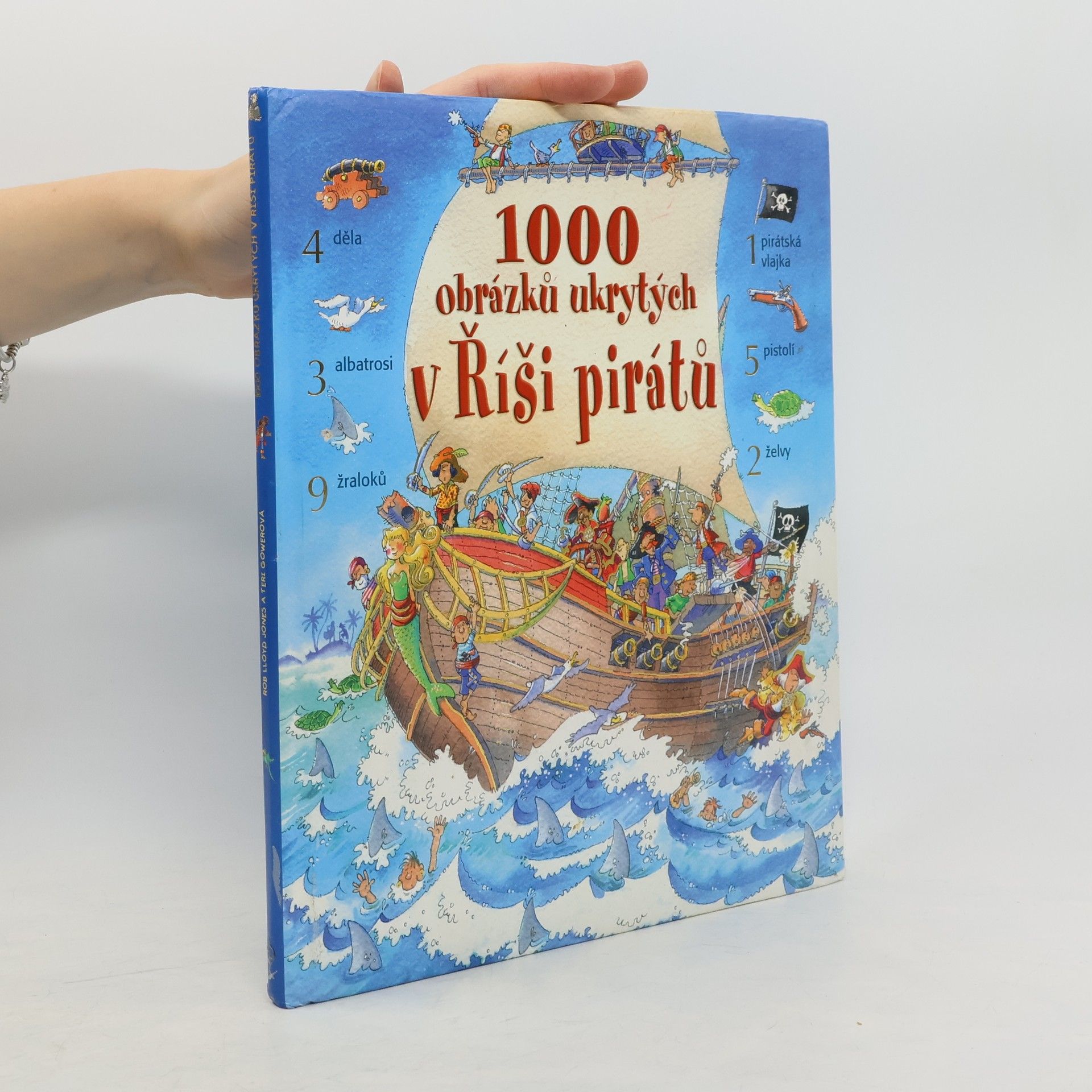 1000 obrázků ukrytých v Říši pirátů