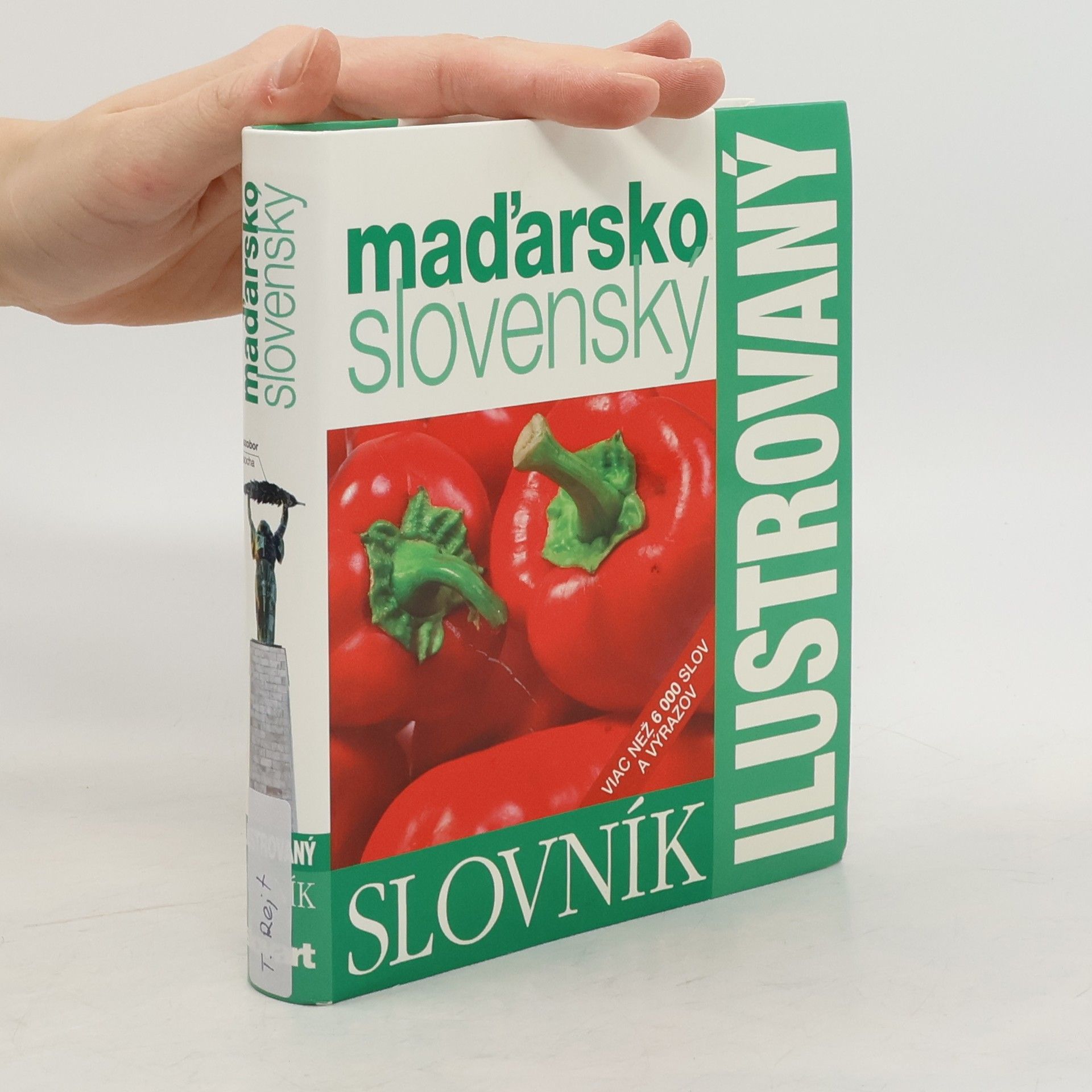 Collectif d'auteurs Ilustrovaný slovník maďarsko-slovenský