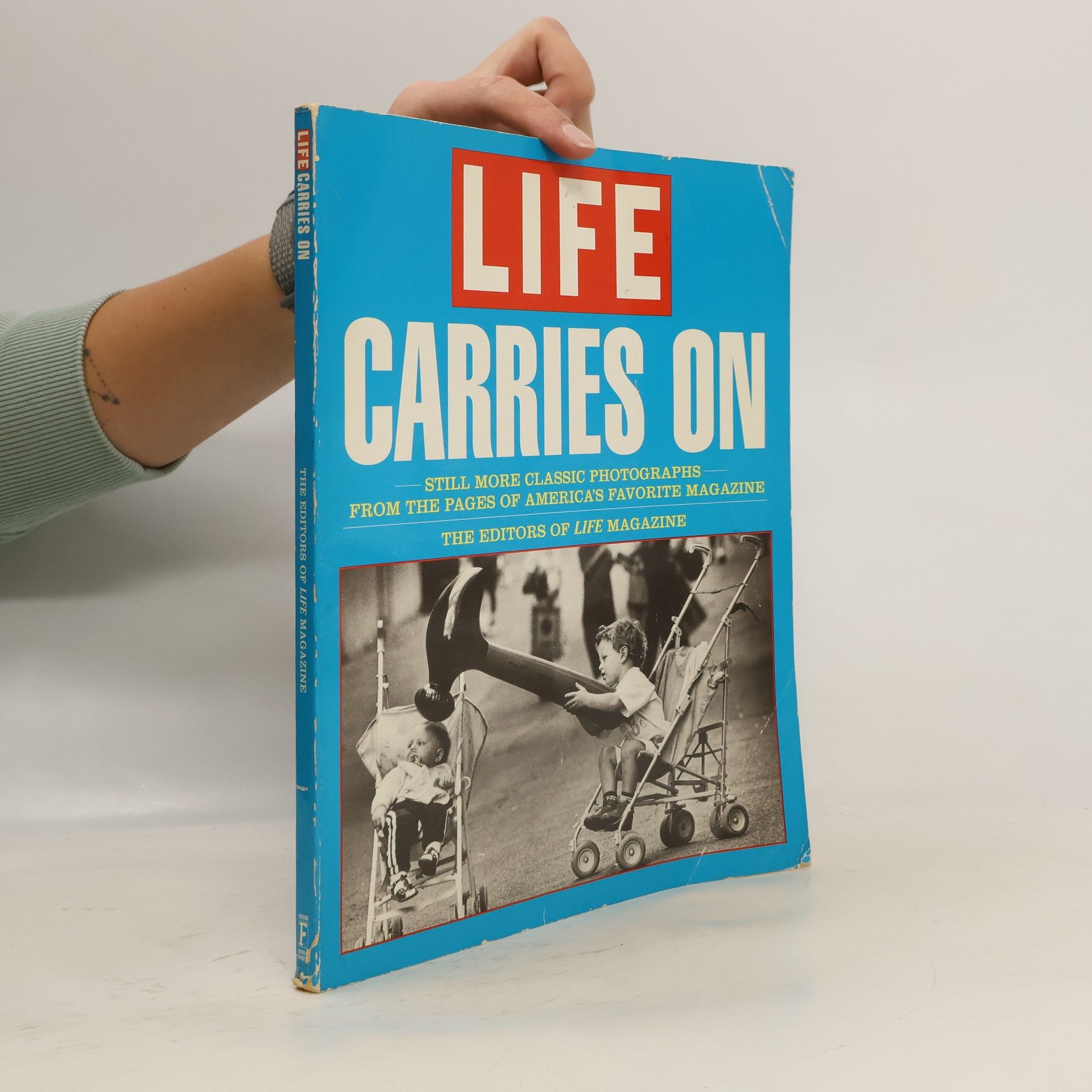 AA.VV. Life Carries On