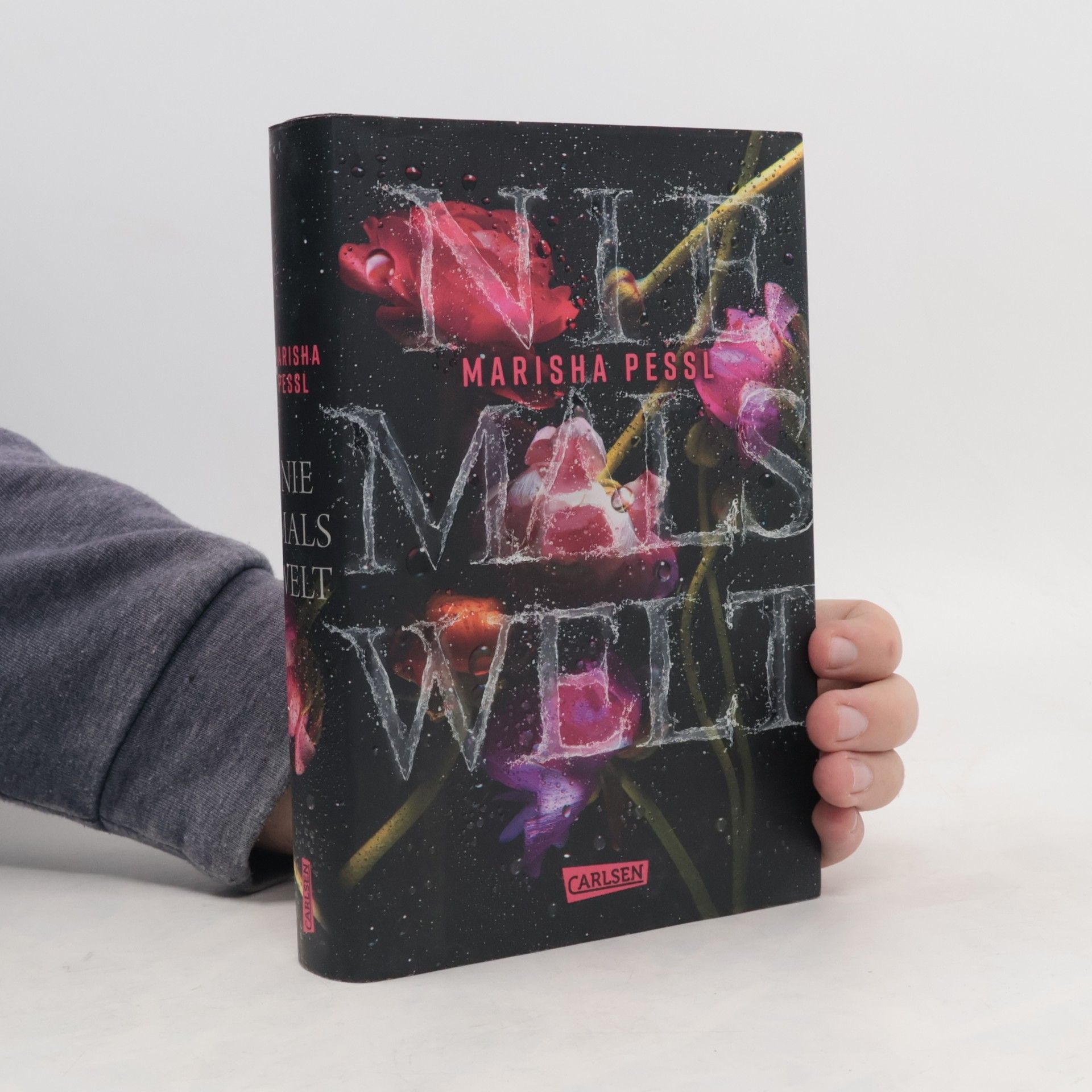 Marisha Pessl Niemalswelt